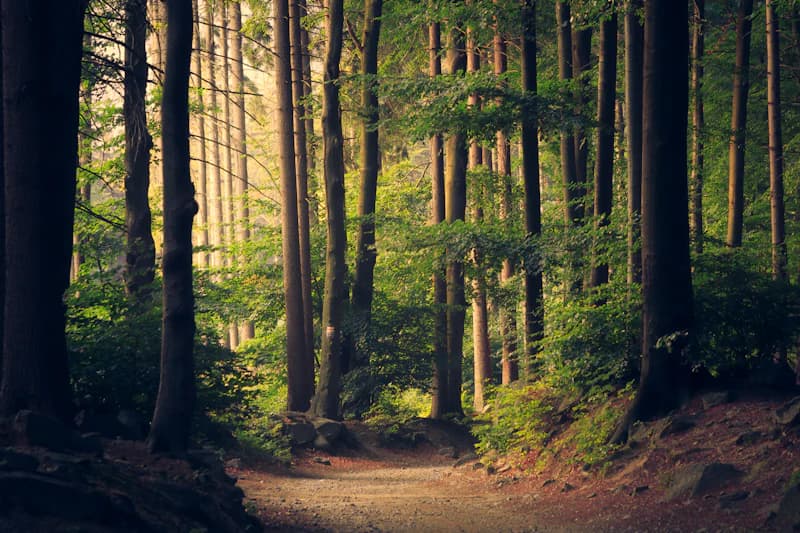 Sustainable Travel: 15 Tips for Eco-Conscious Tourism
