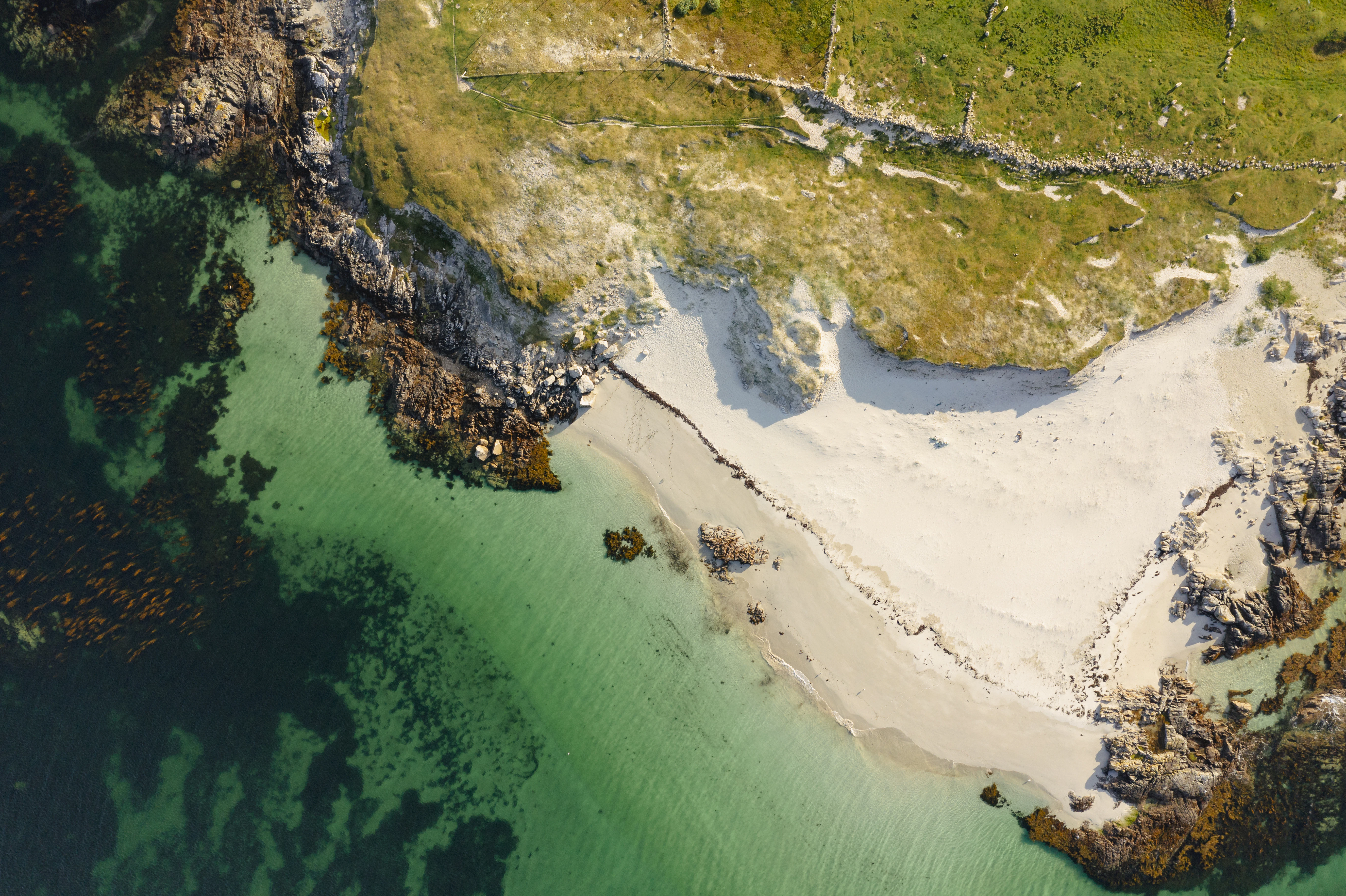 Aerial view of a beautiful, sunny beach.