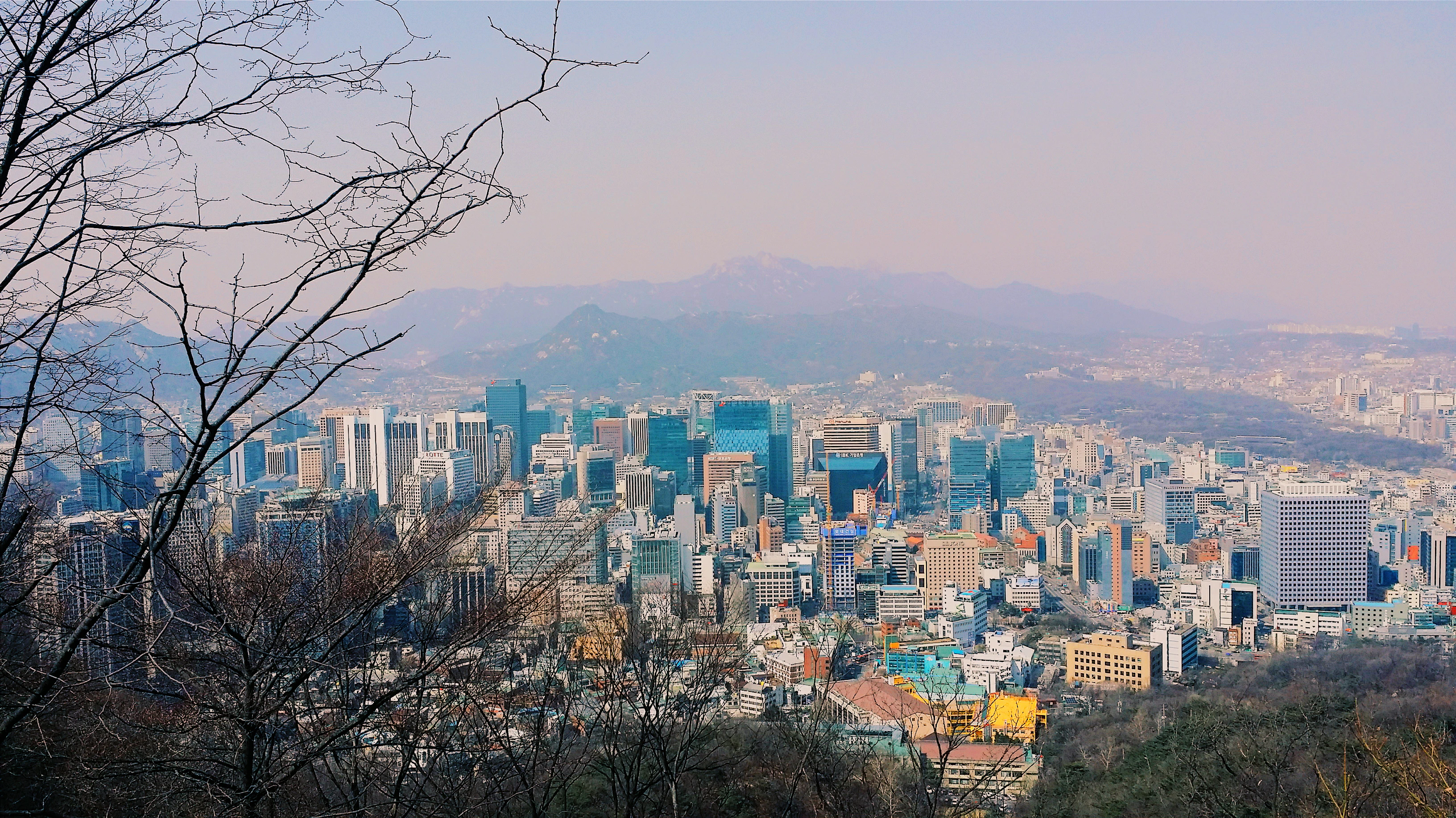 aerial photography of city during daytime