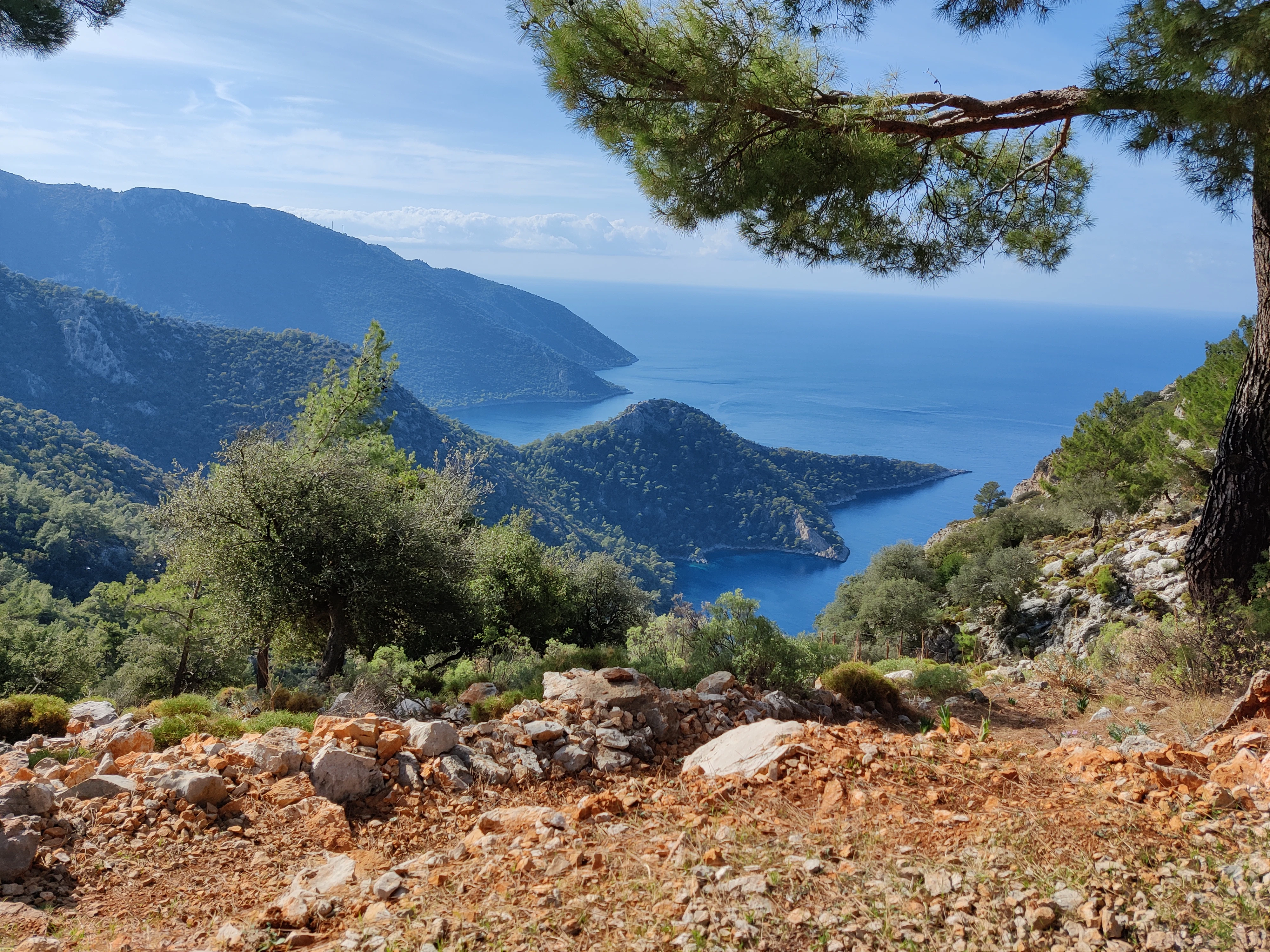 a view of the ocean from a hill top