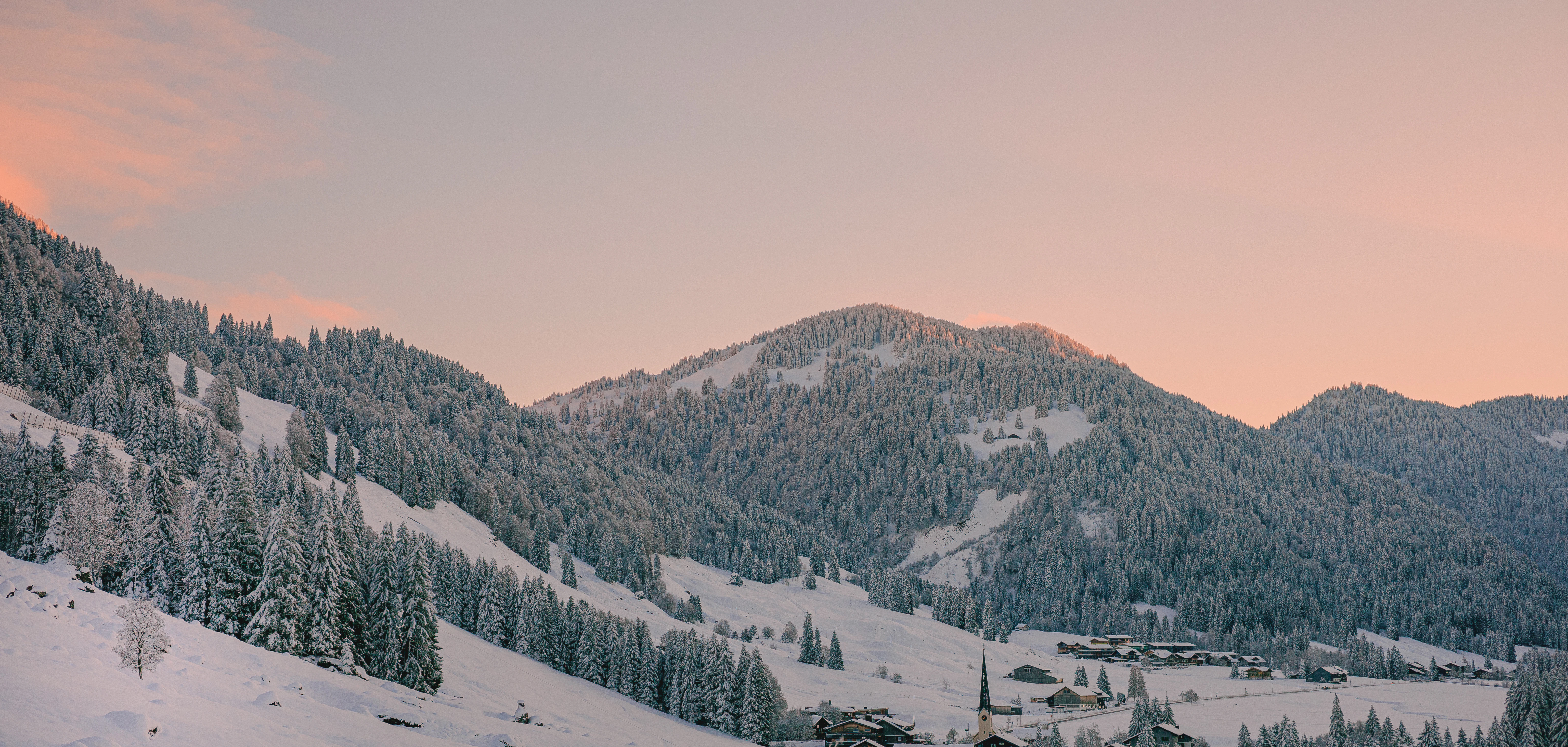 Snowy mountains with pine trees at sunset