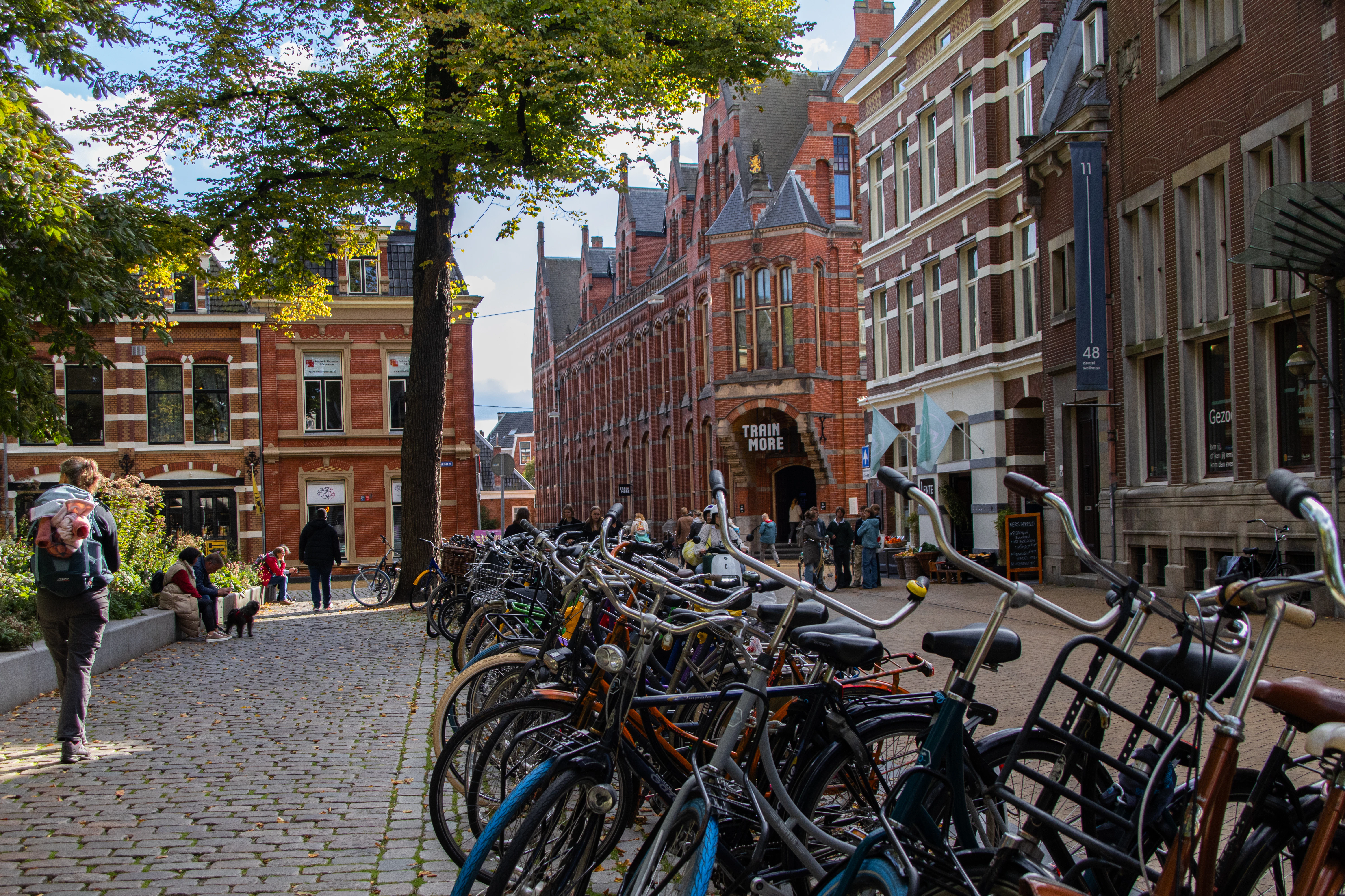 A row of bikes parked next to each other on a sidewalk