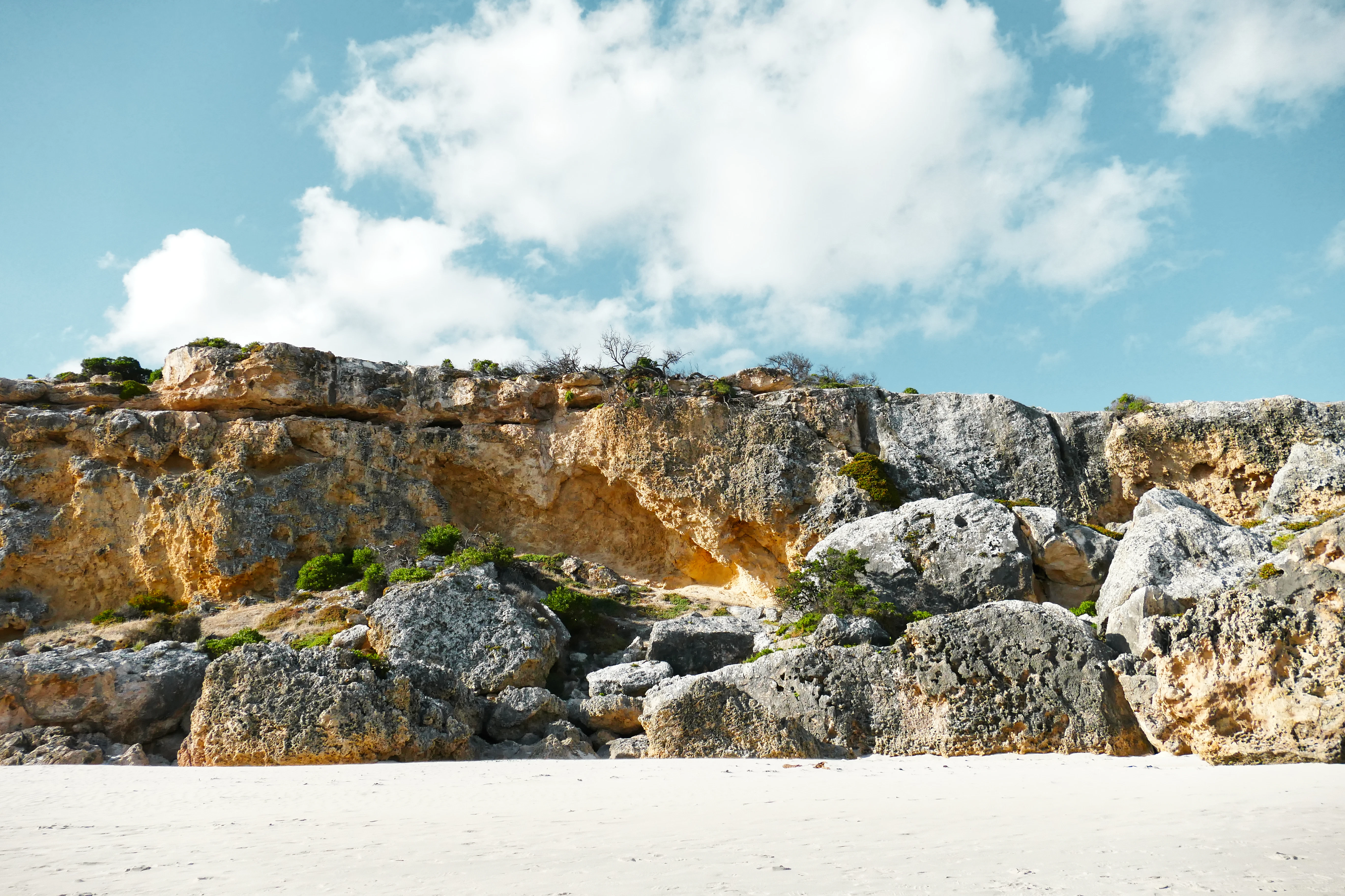 A sandy beach with rocks and plants on it