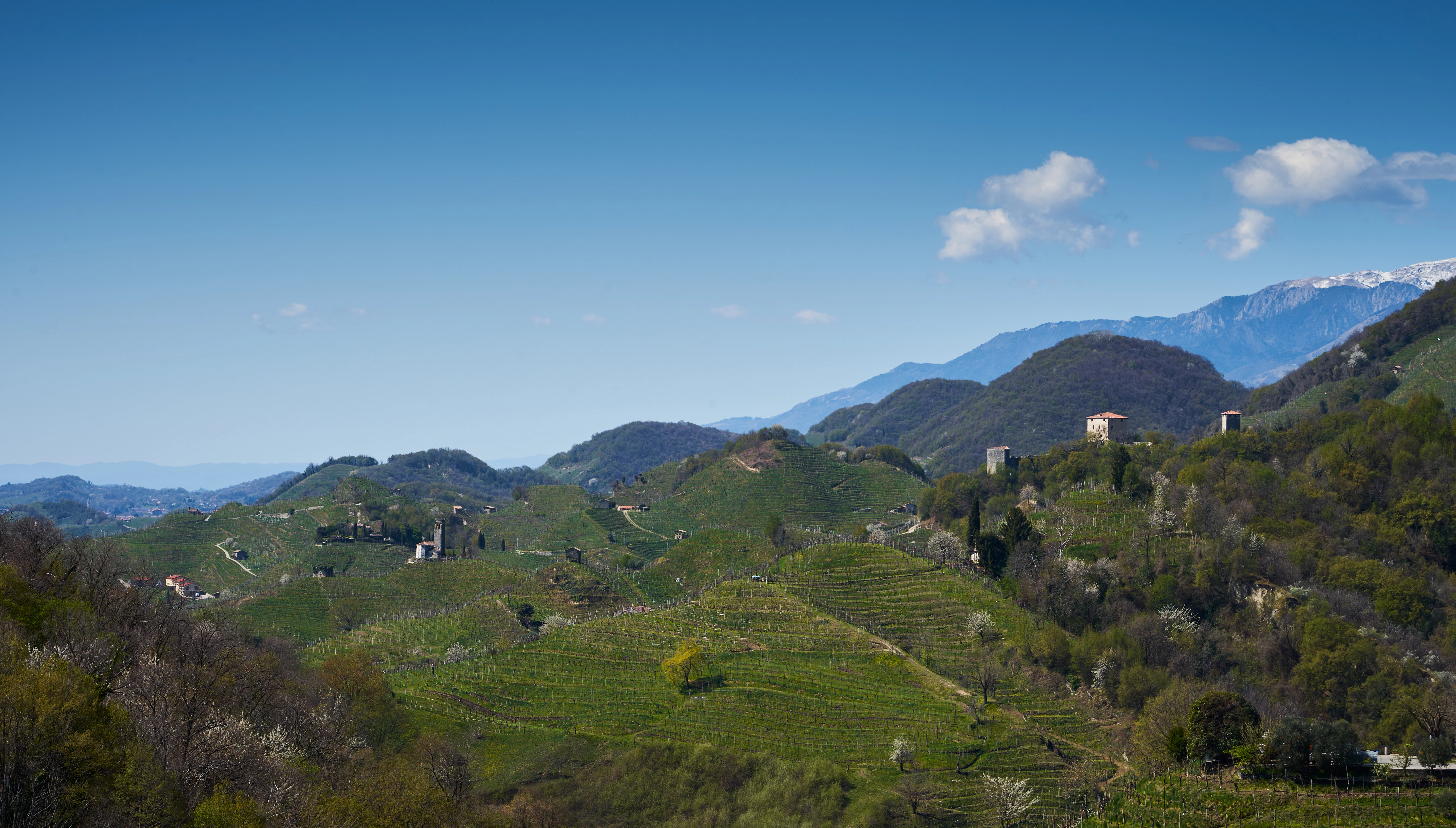a scenic view of a green valley with mountains in the background