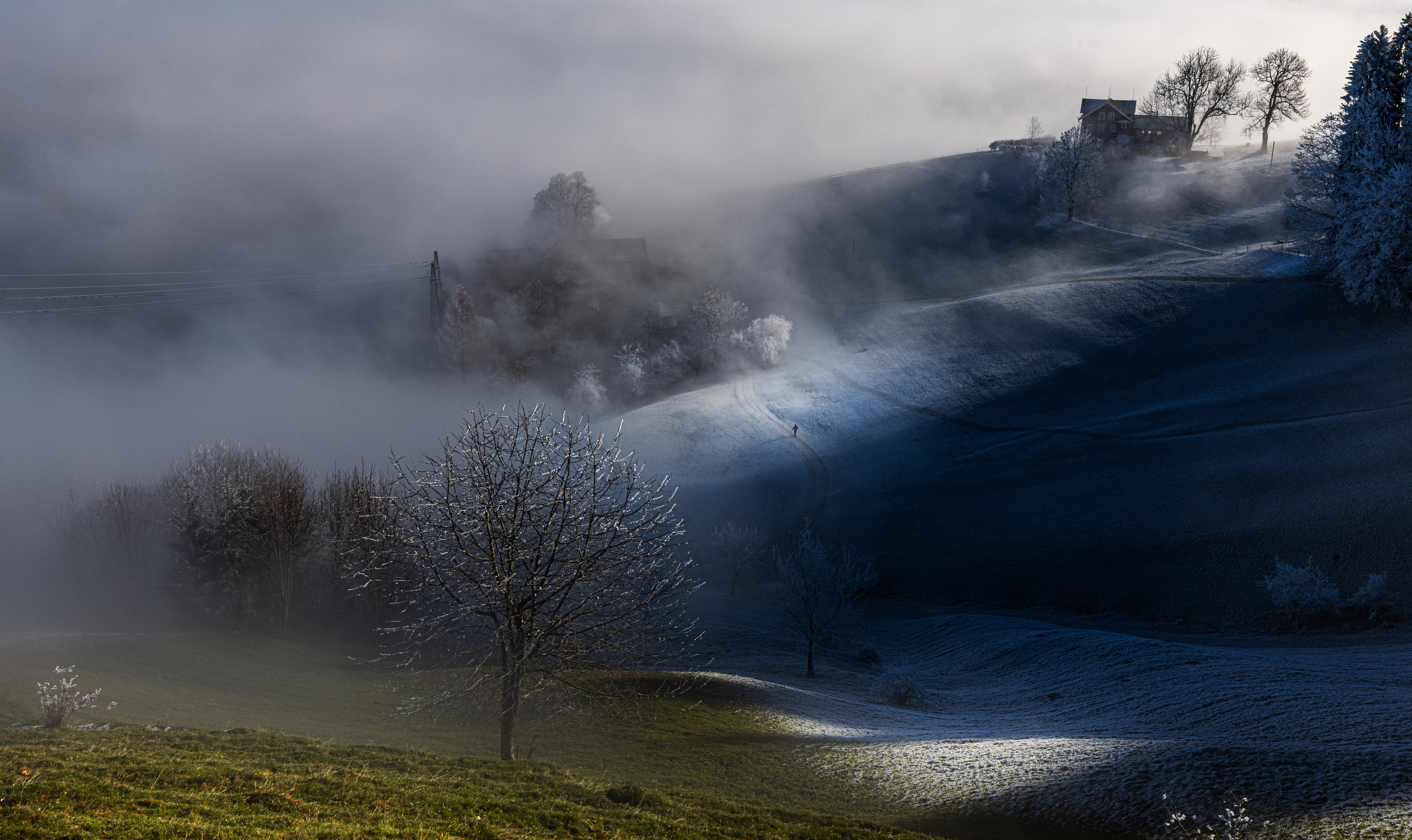 Misty morning landscape with frosted trees and hills.
