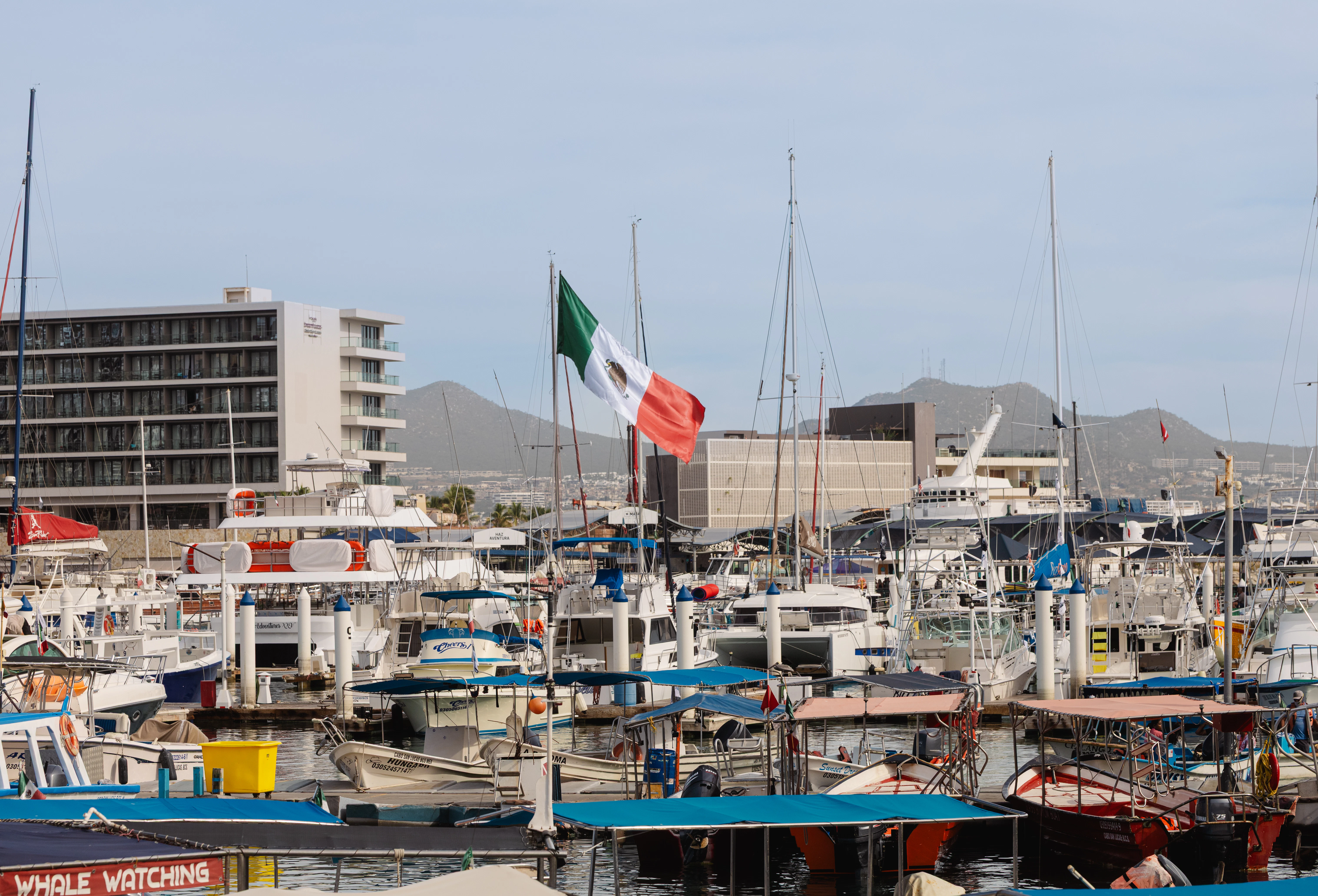Mexican flag flies over a busy marina with many boats.