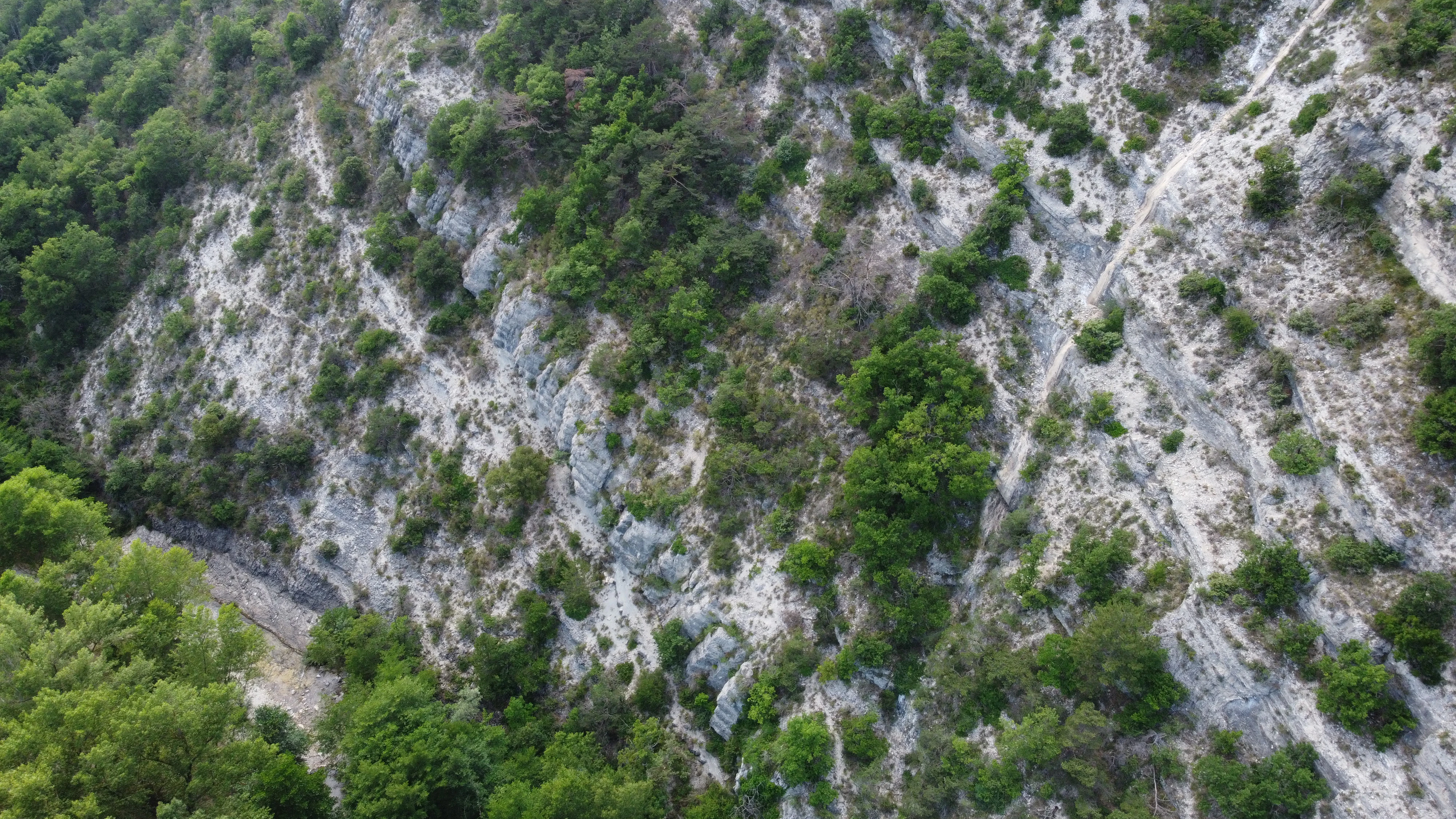 an aerial view of a mountain side with trees
