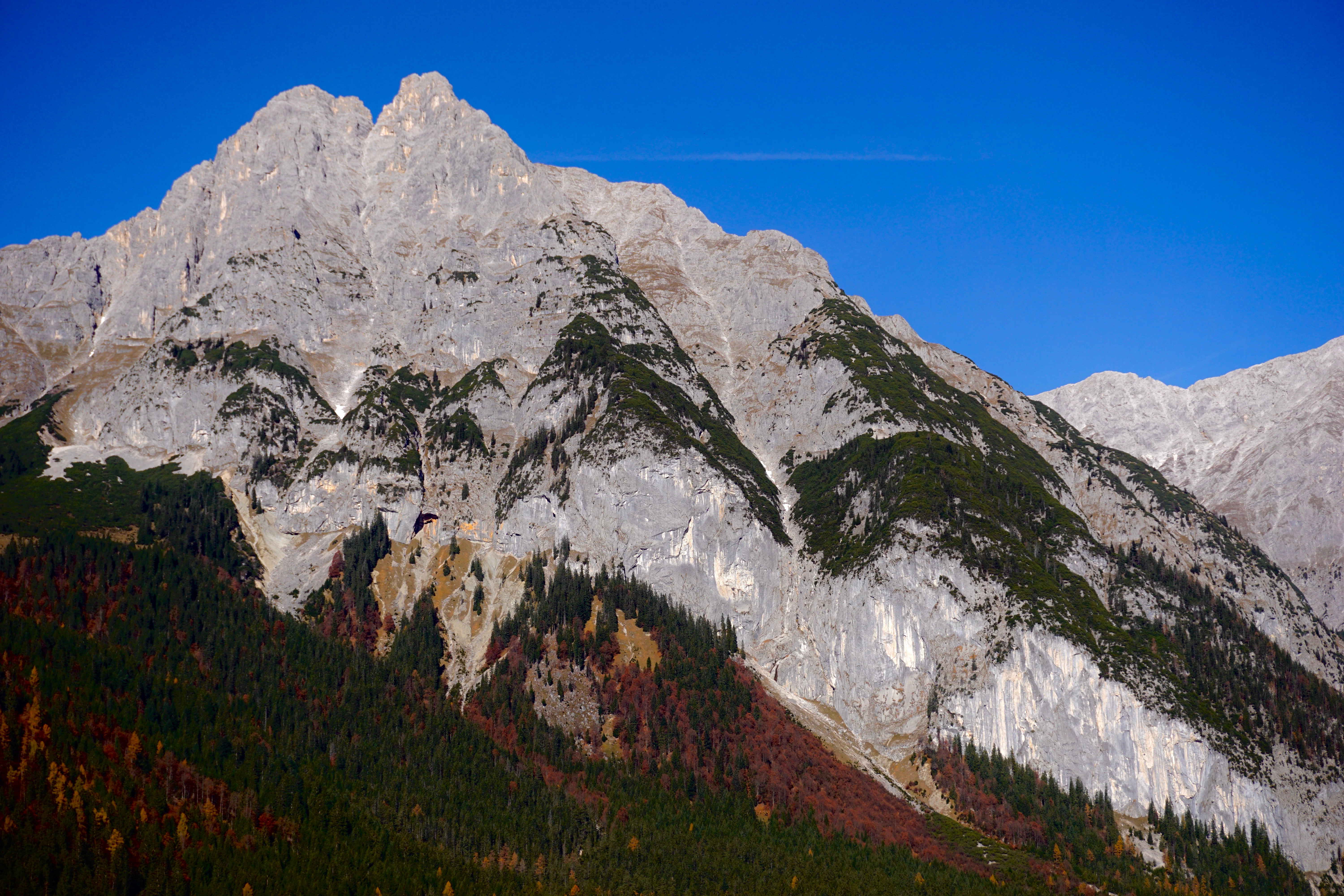 A view of a mountain range with trees in the foreground