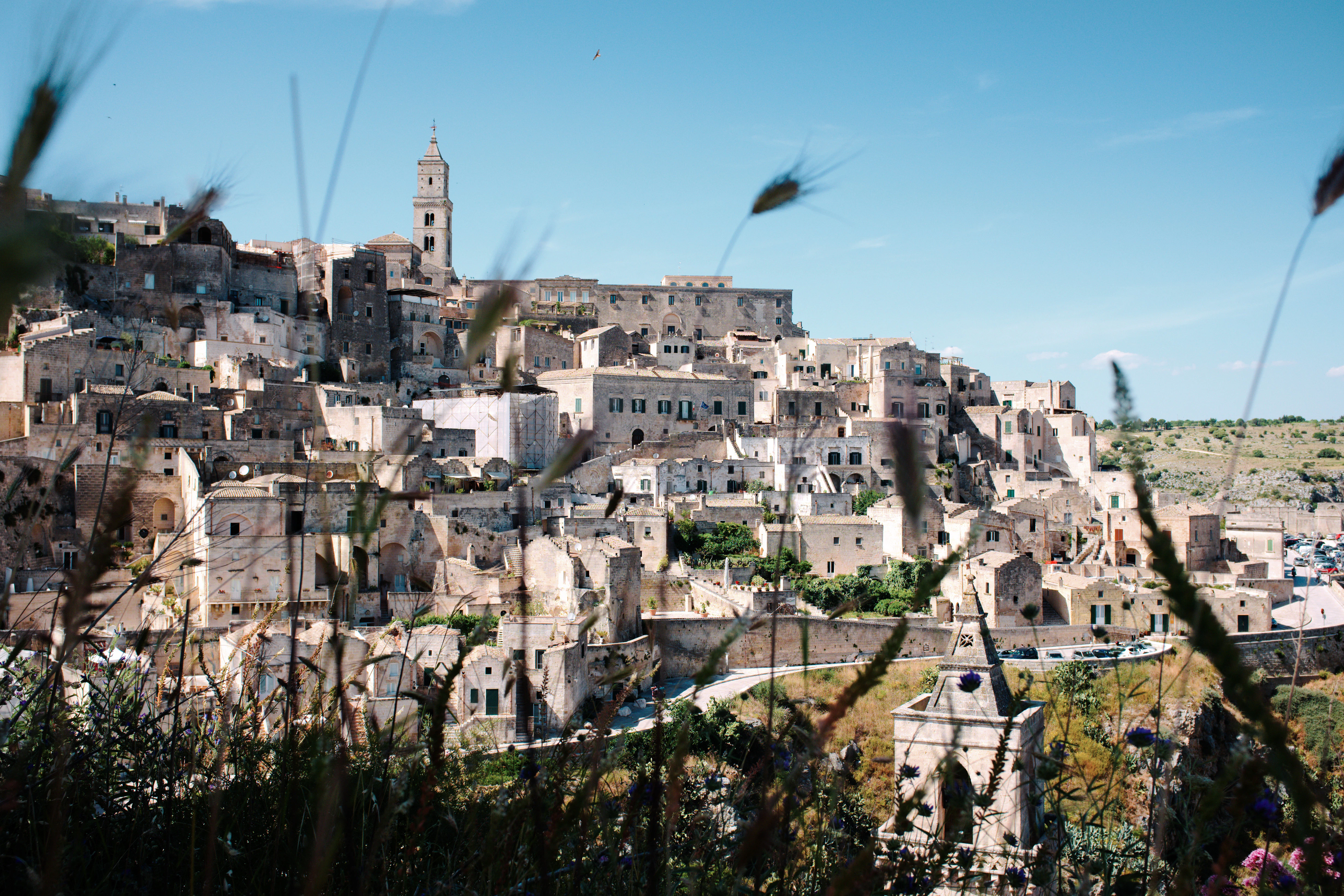 birds flying over the city during daytime