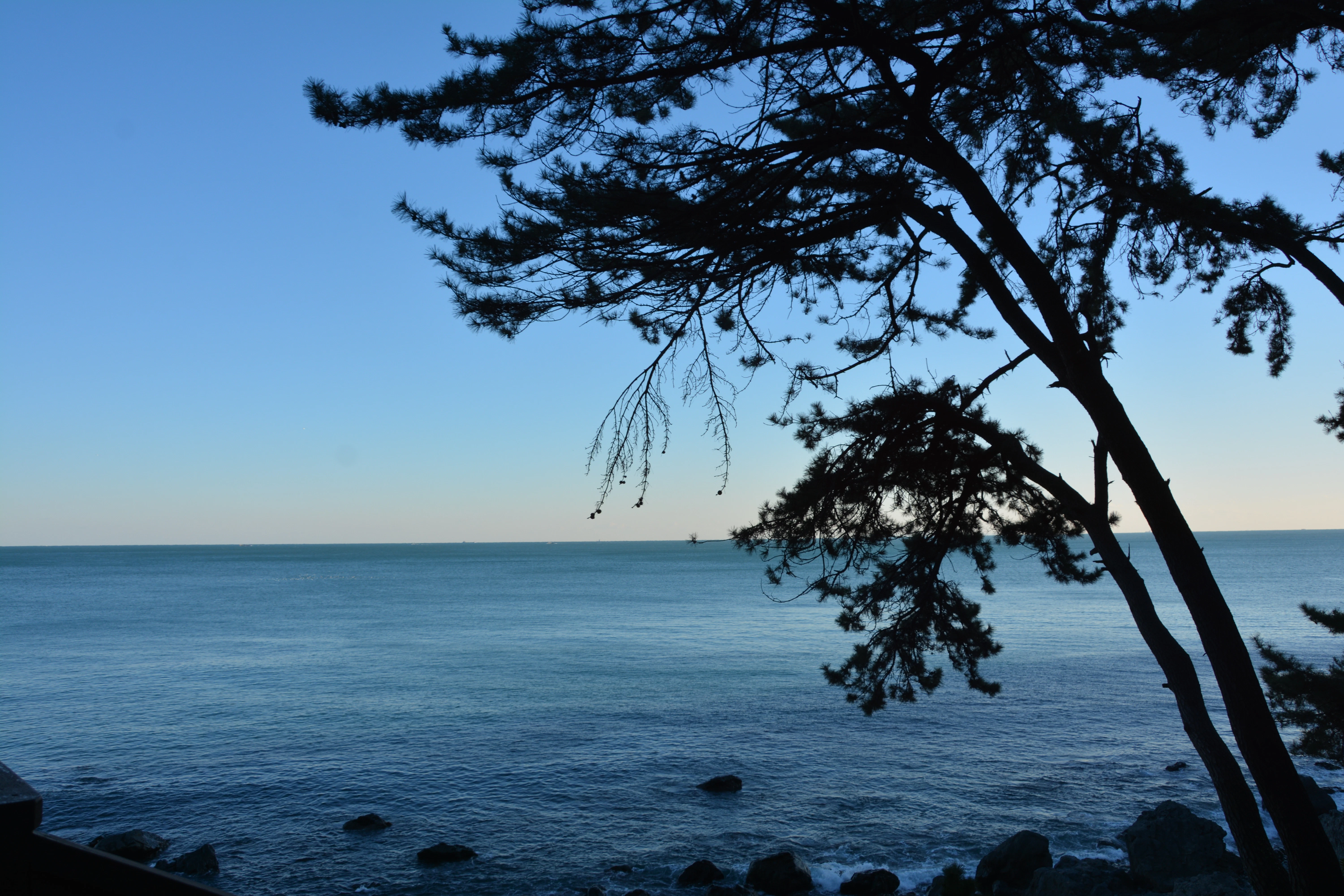 a view of a body of water from a hill