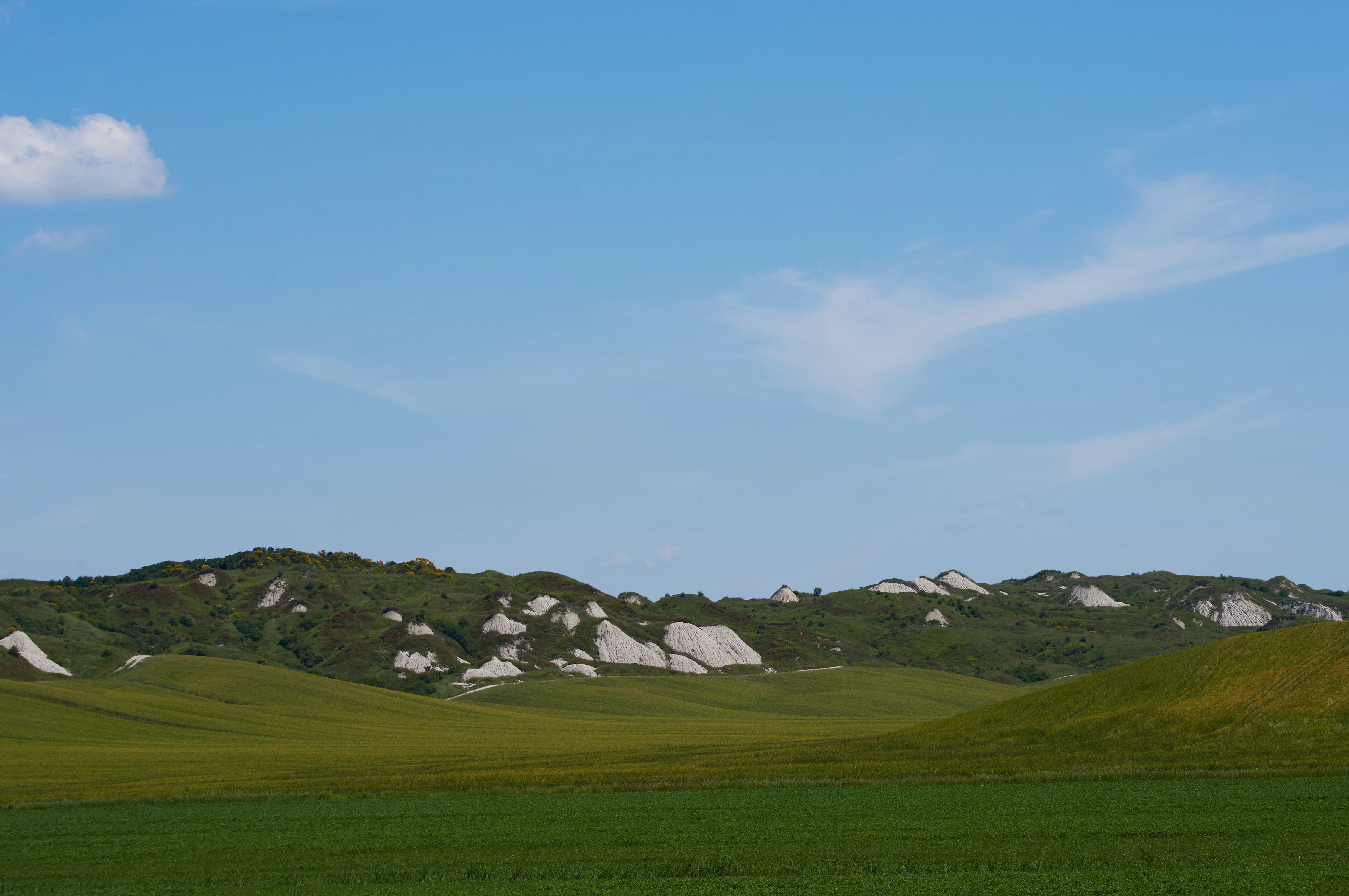 green grass field
