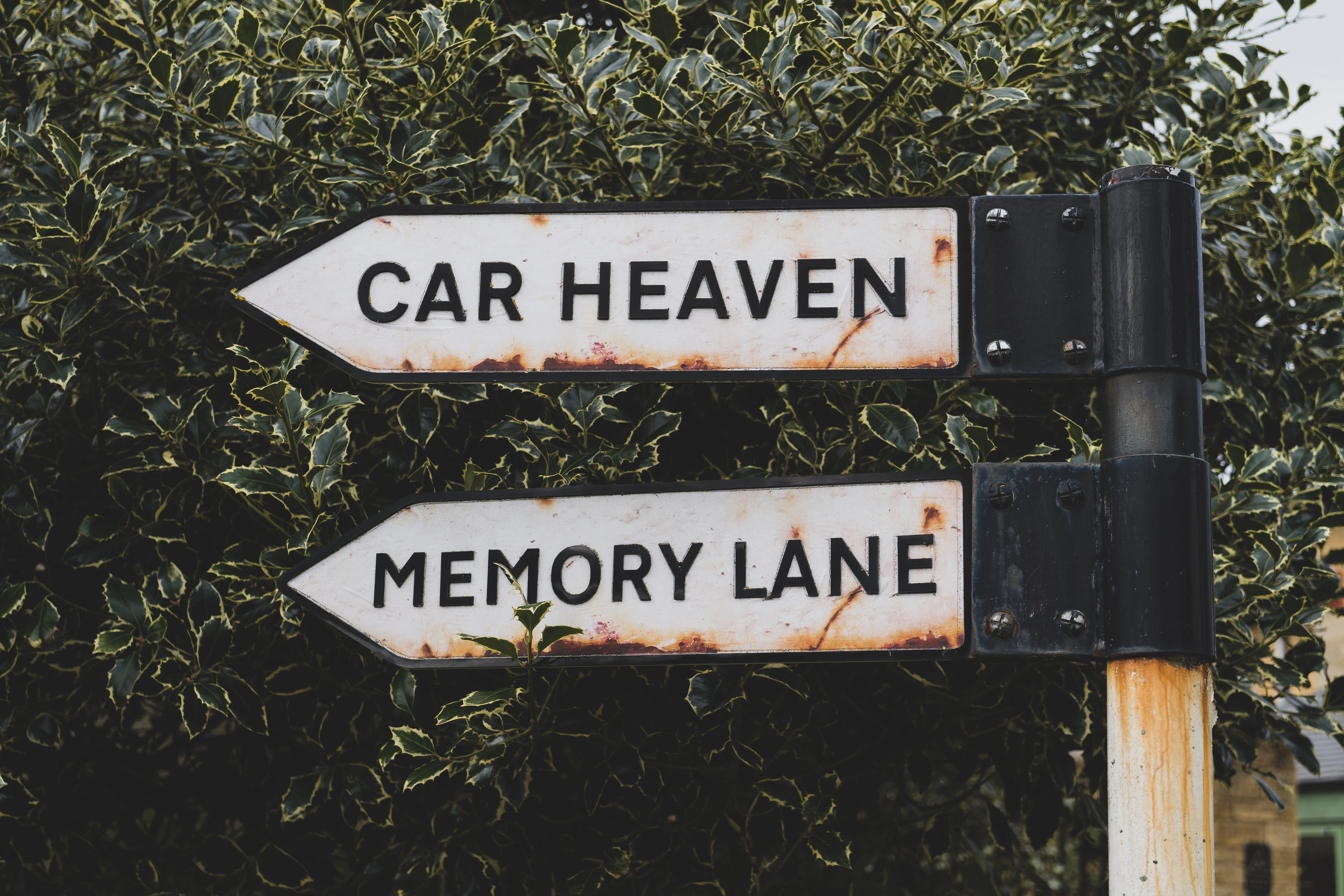 a couple of street signs sitting on top of a pole
