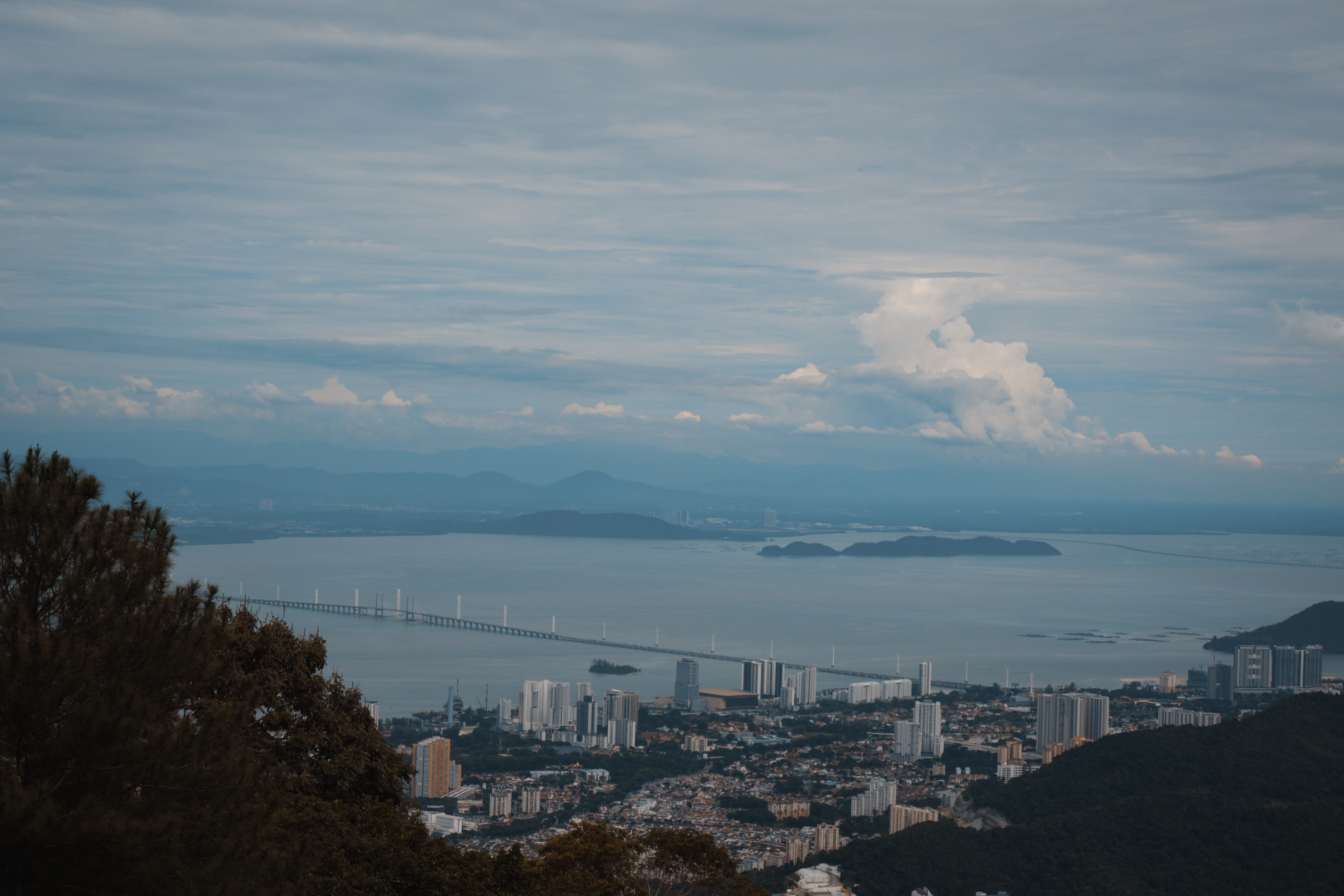 Cityscape with bridge over calm ocean waters