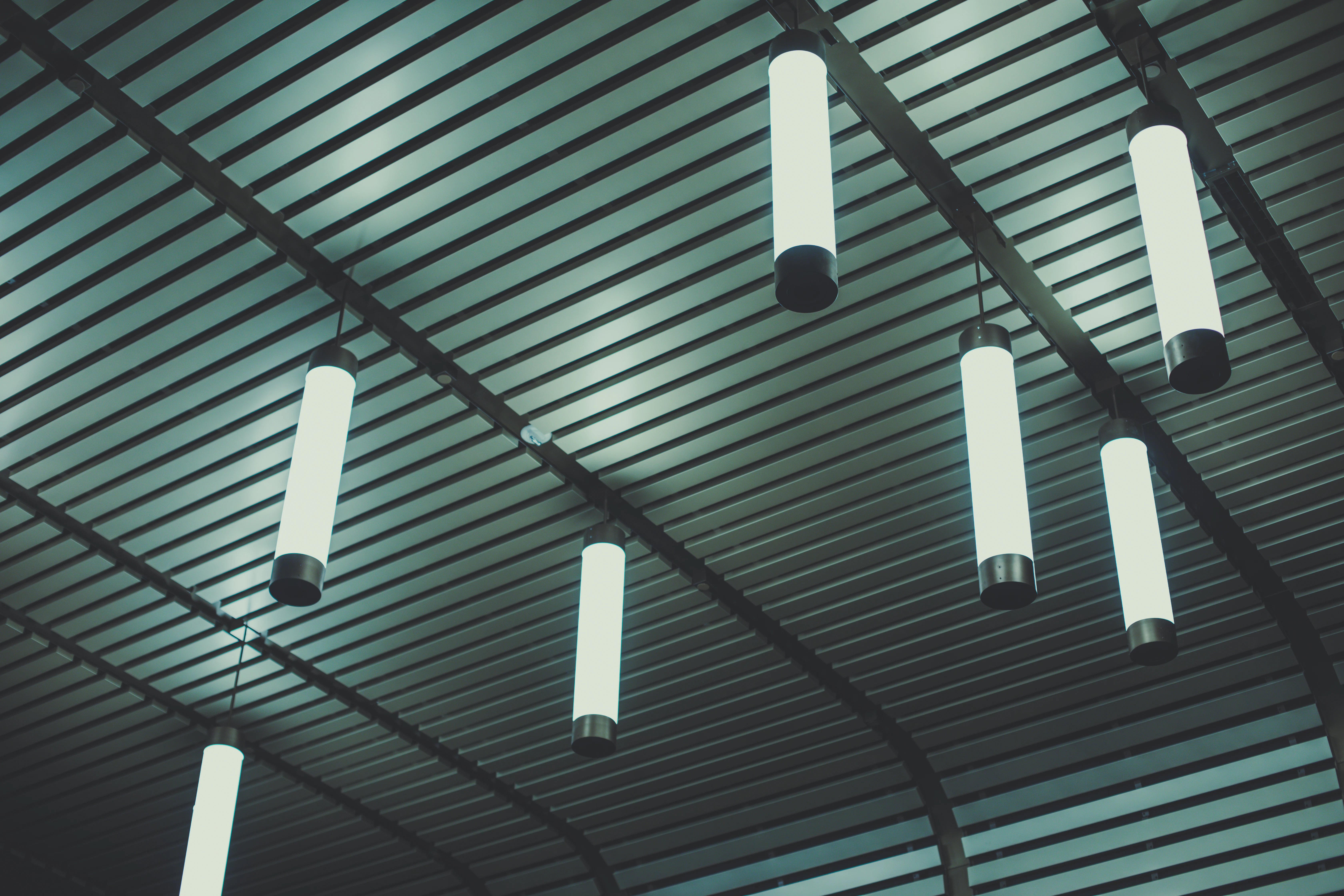 black and white electric wires