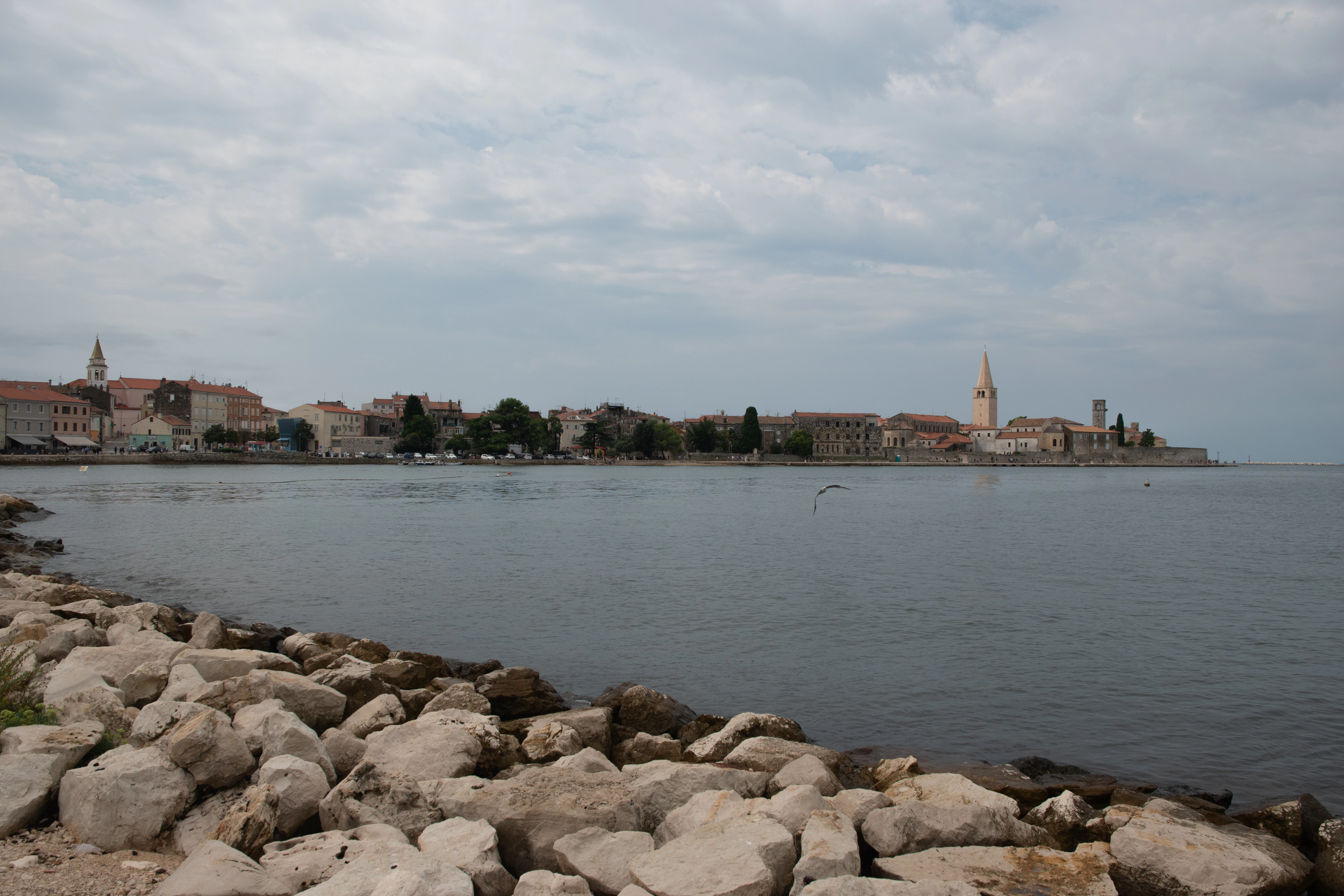 Coastal city skyline with calm water and rocky shore.