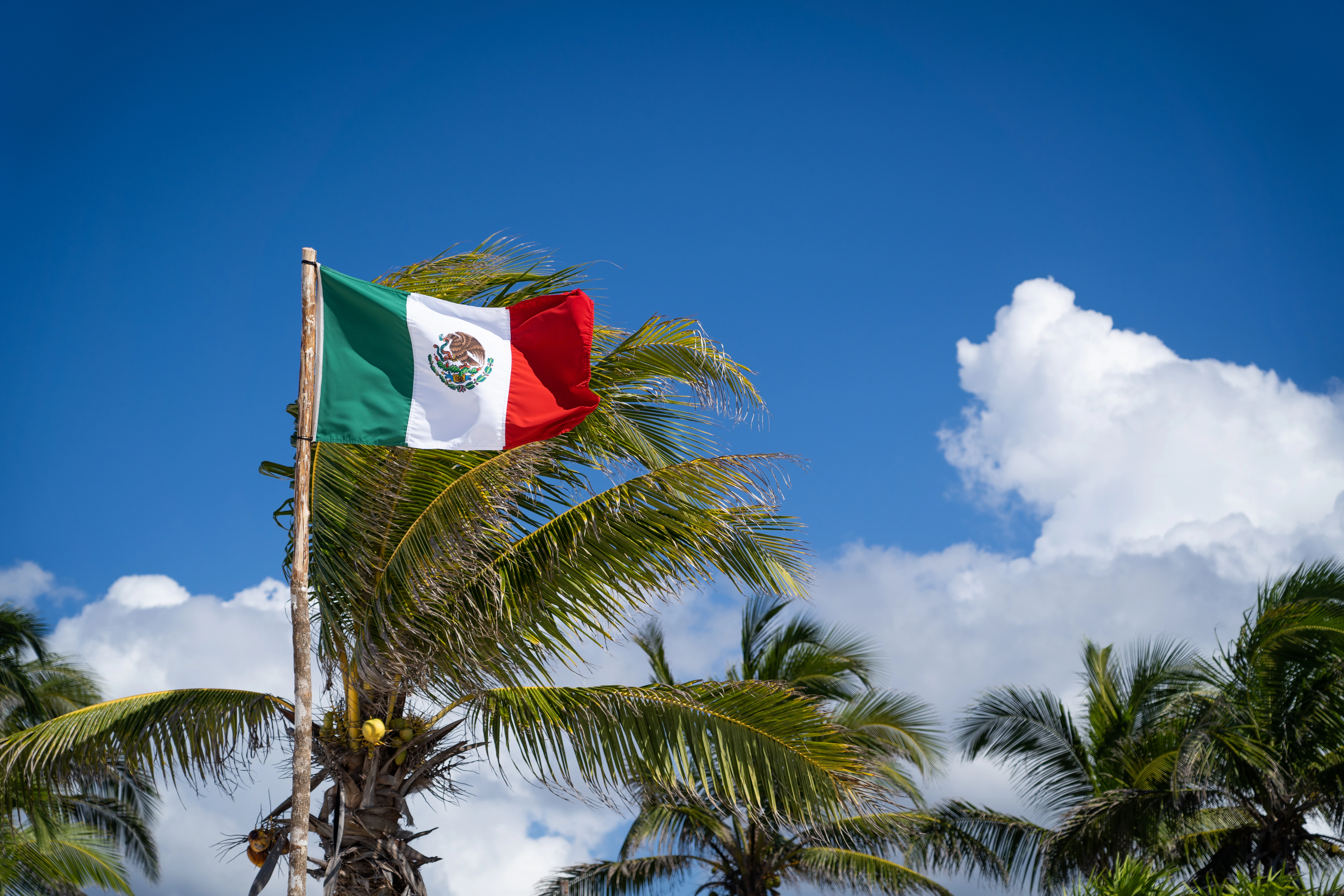 a flag on a pole