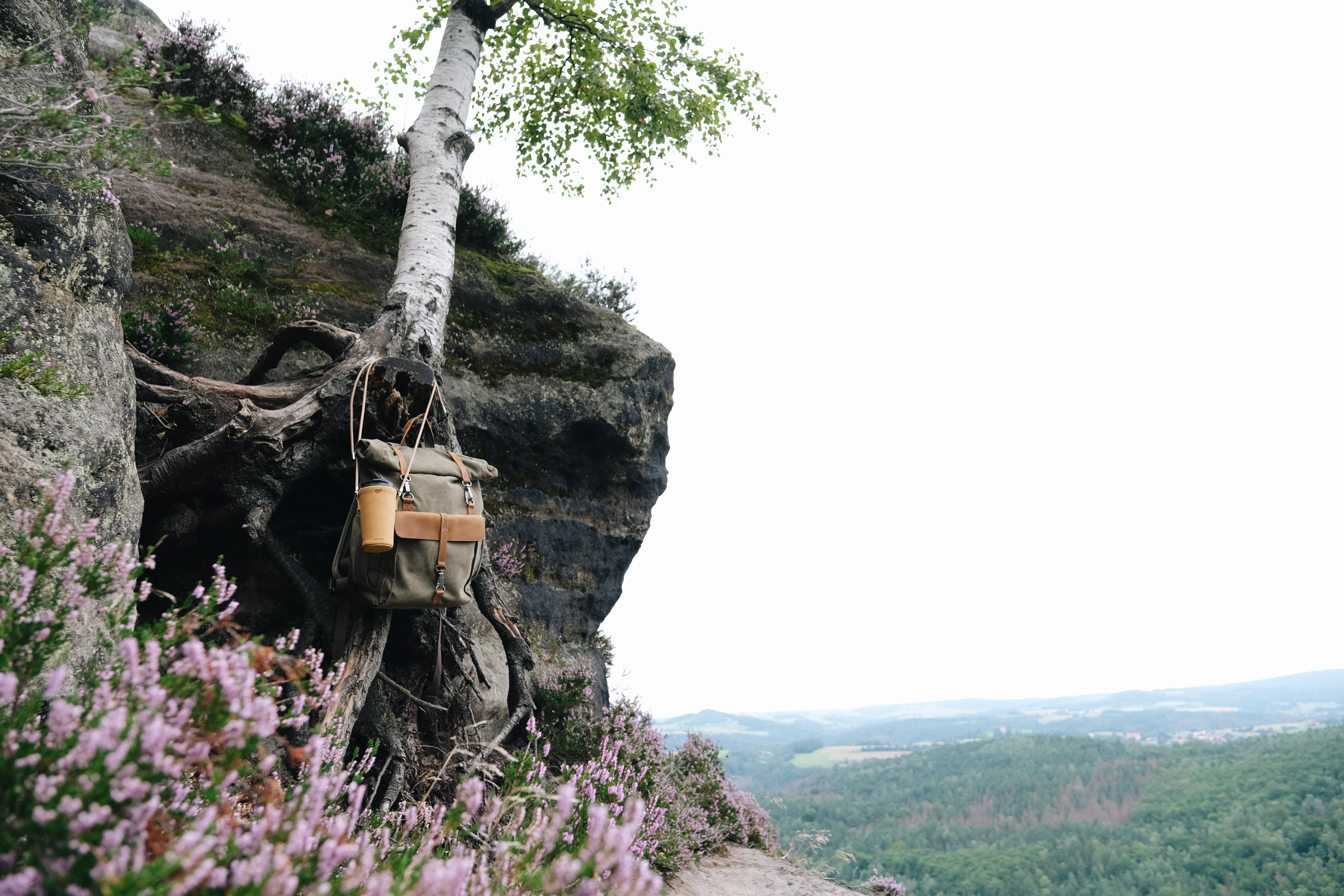 a bag hanging from a tree on the side of a cliff