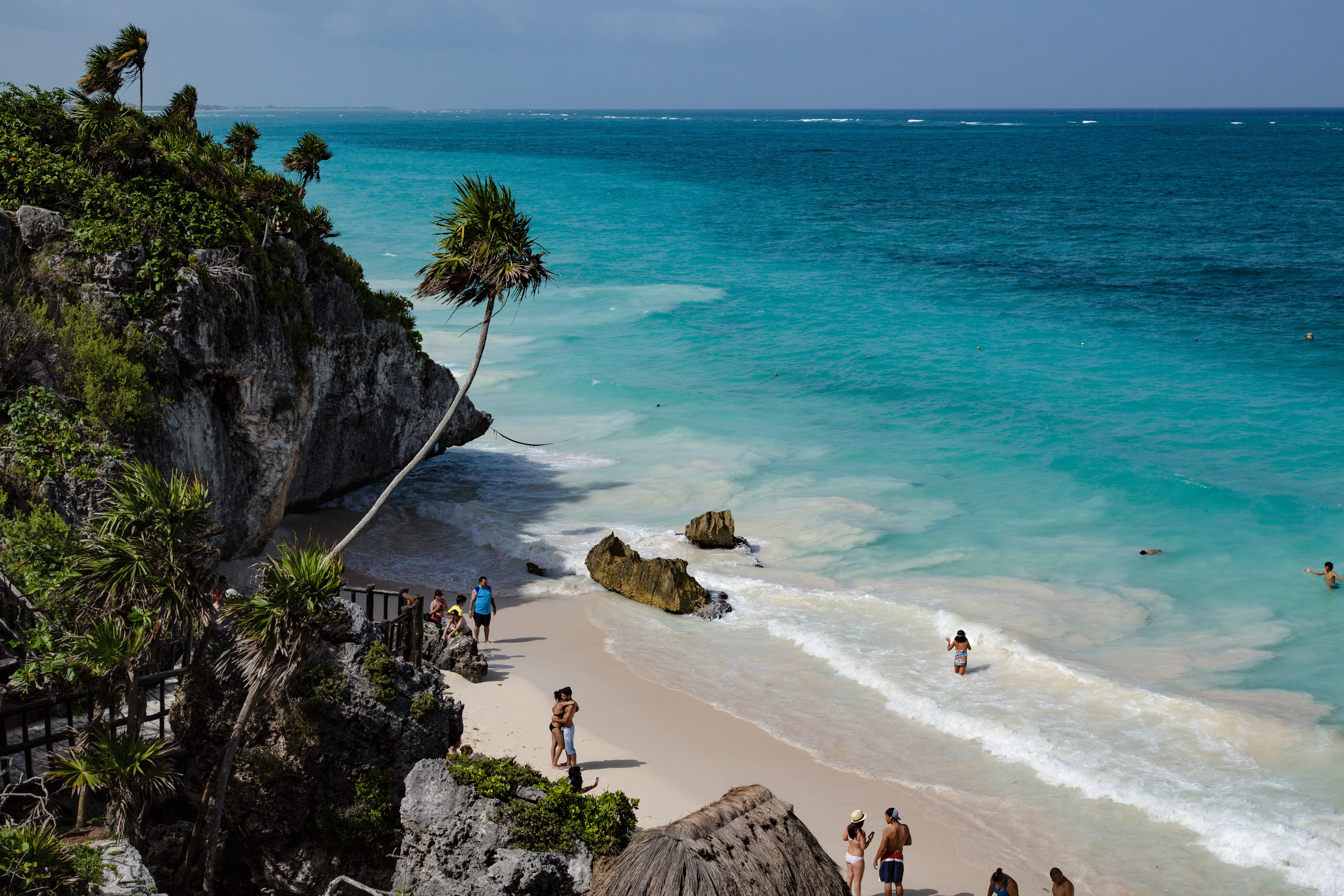 people walking on seashore during daytime