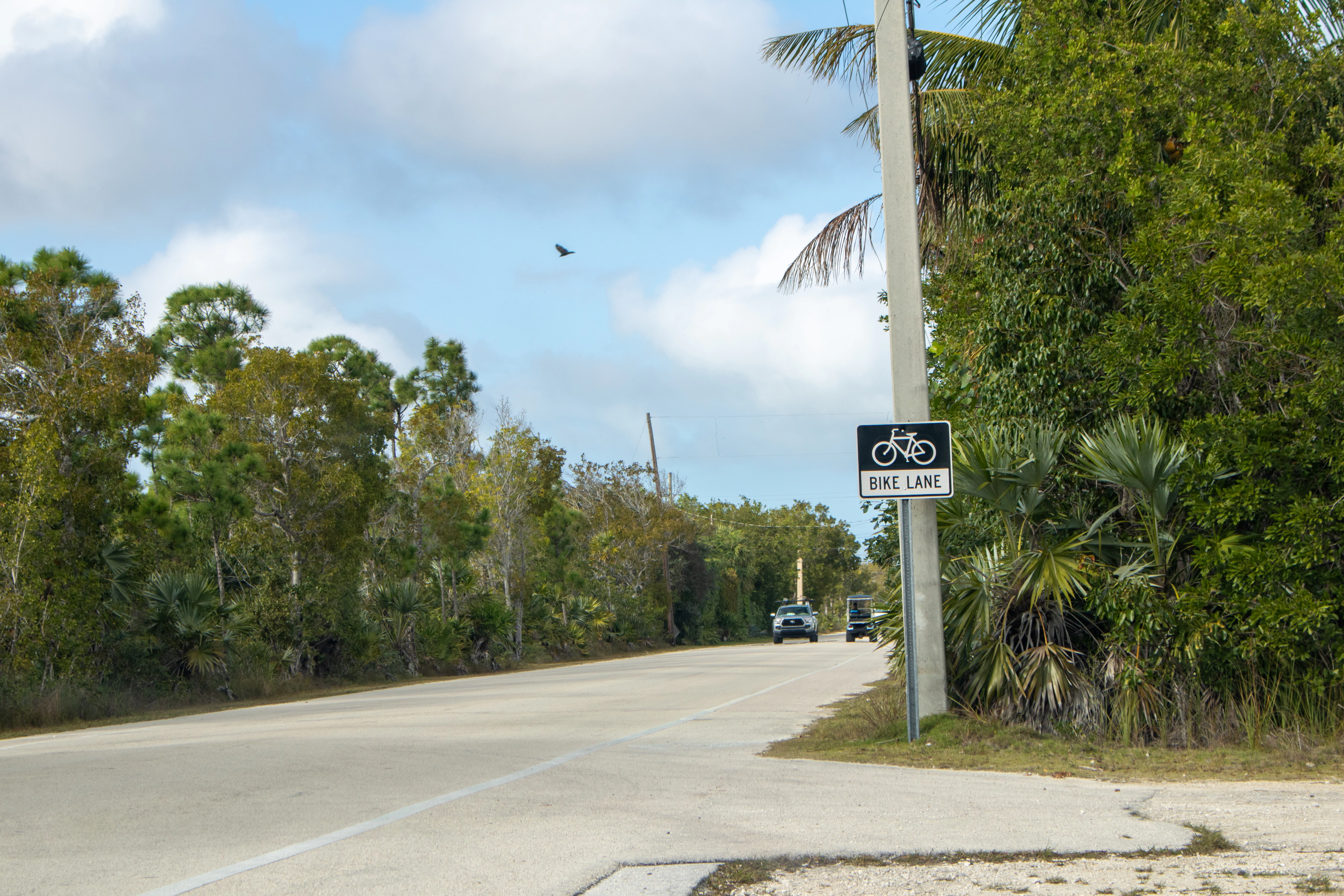 Bike lane sign on a road.