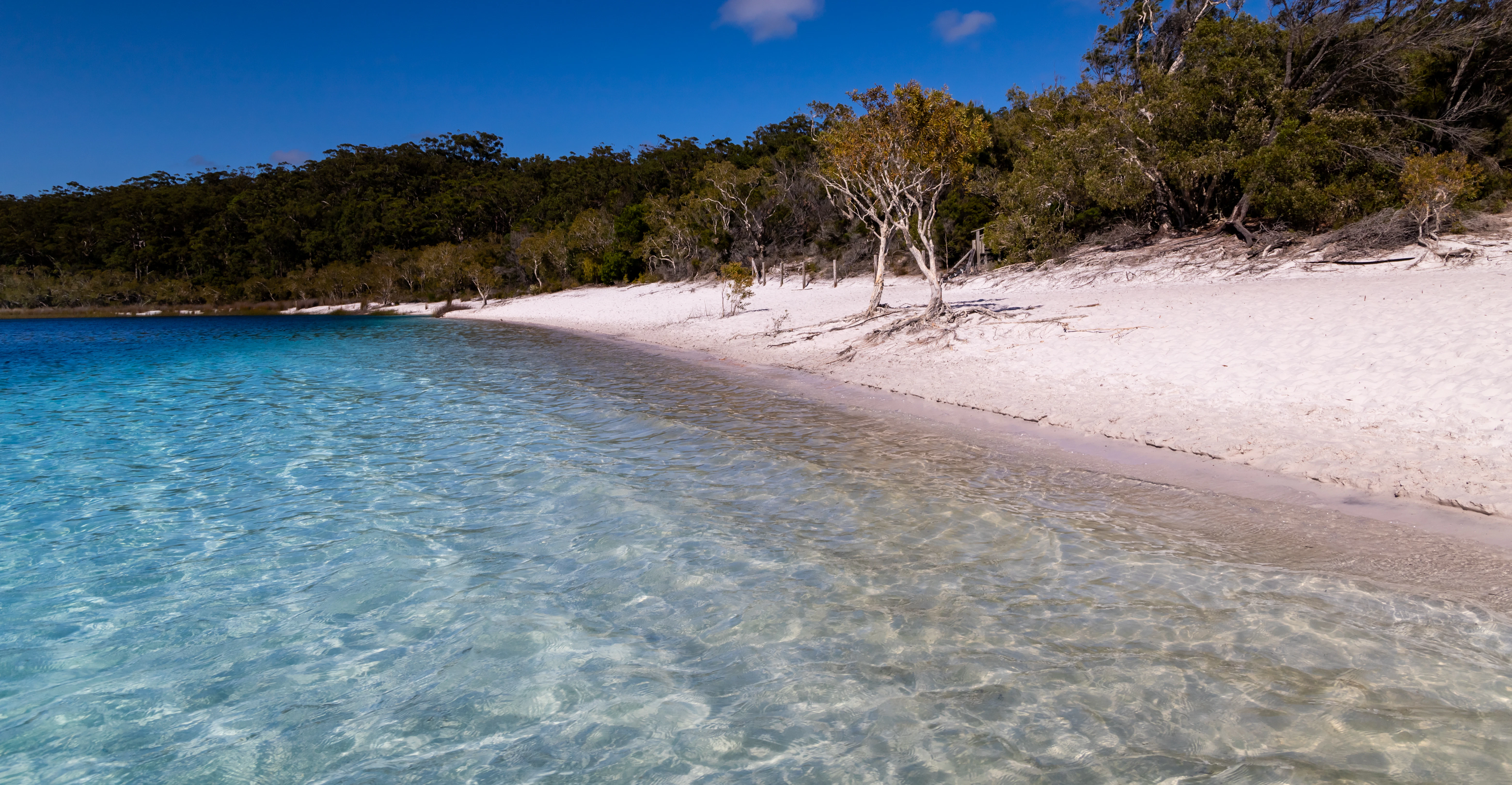 a body of water that is next to a beach