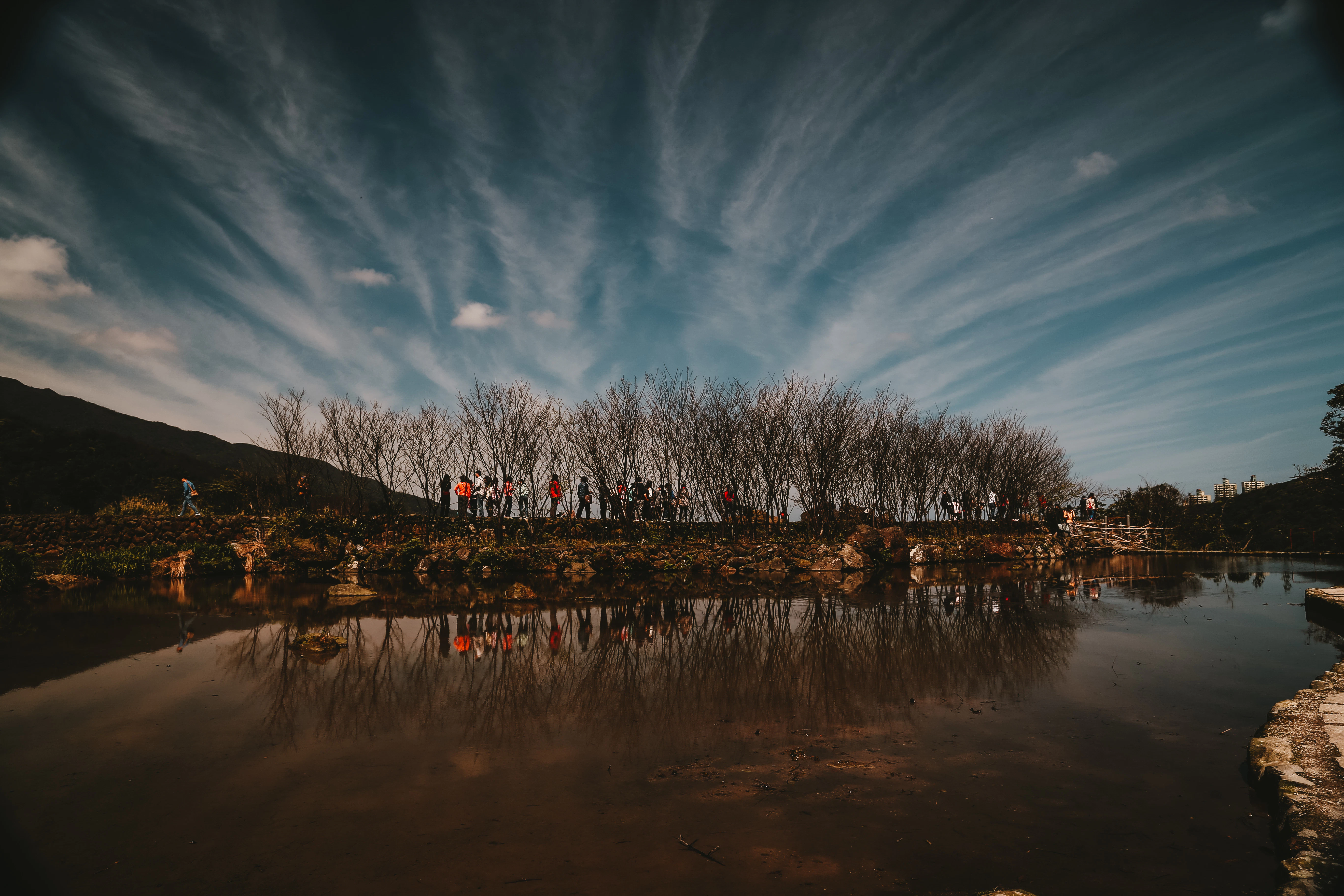 people gathered by bare trees by body of water