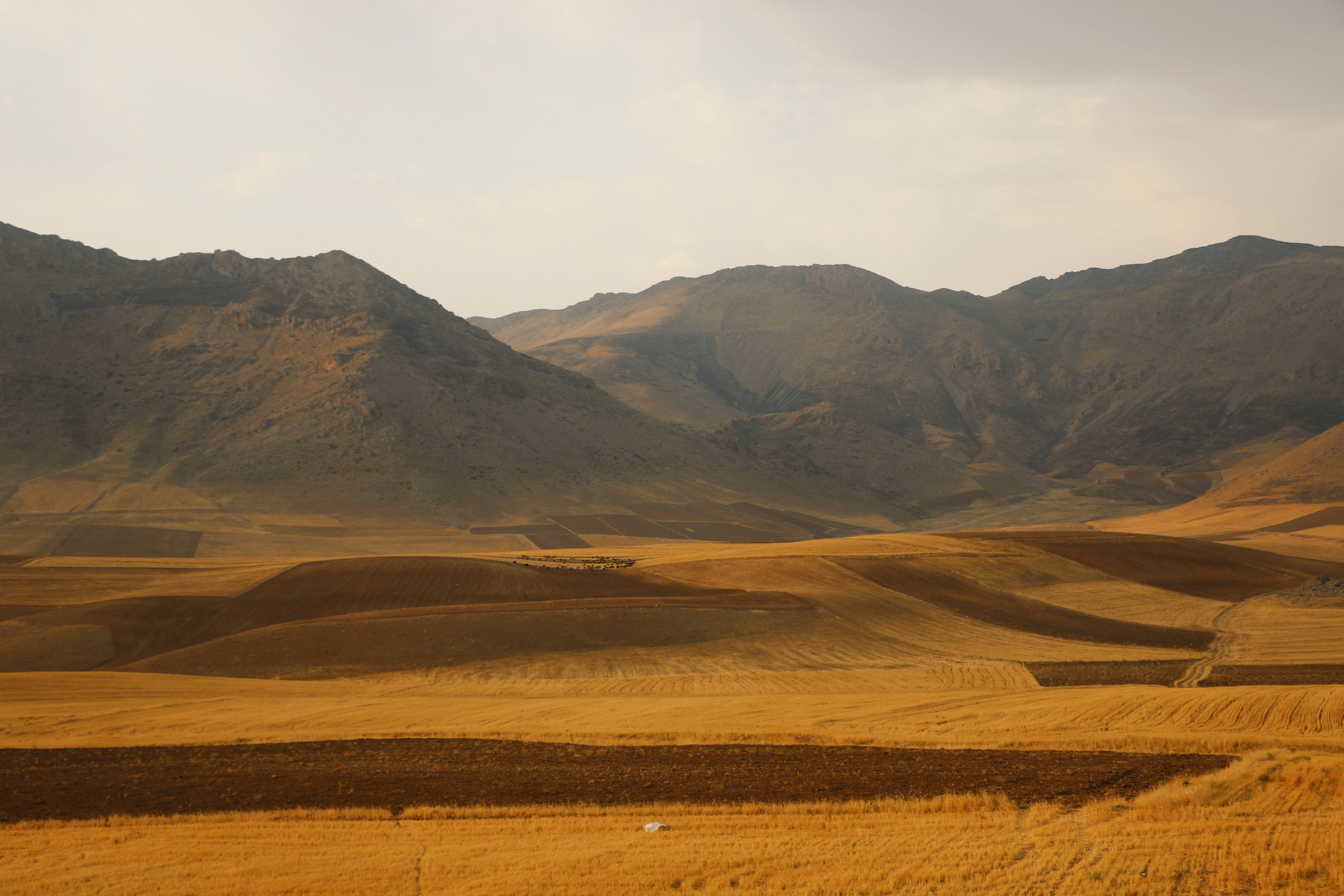 Golden rolling hills with mountains in background