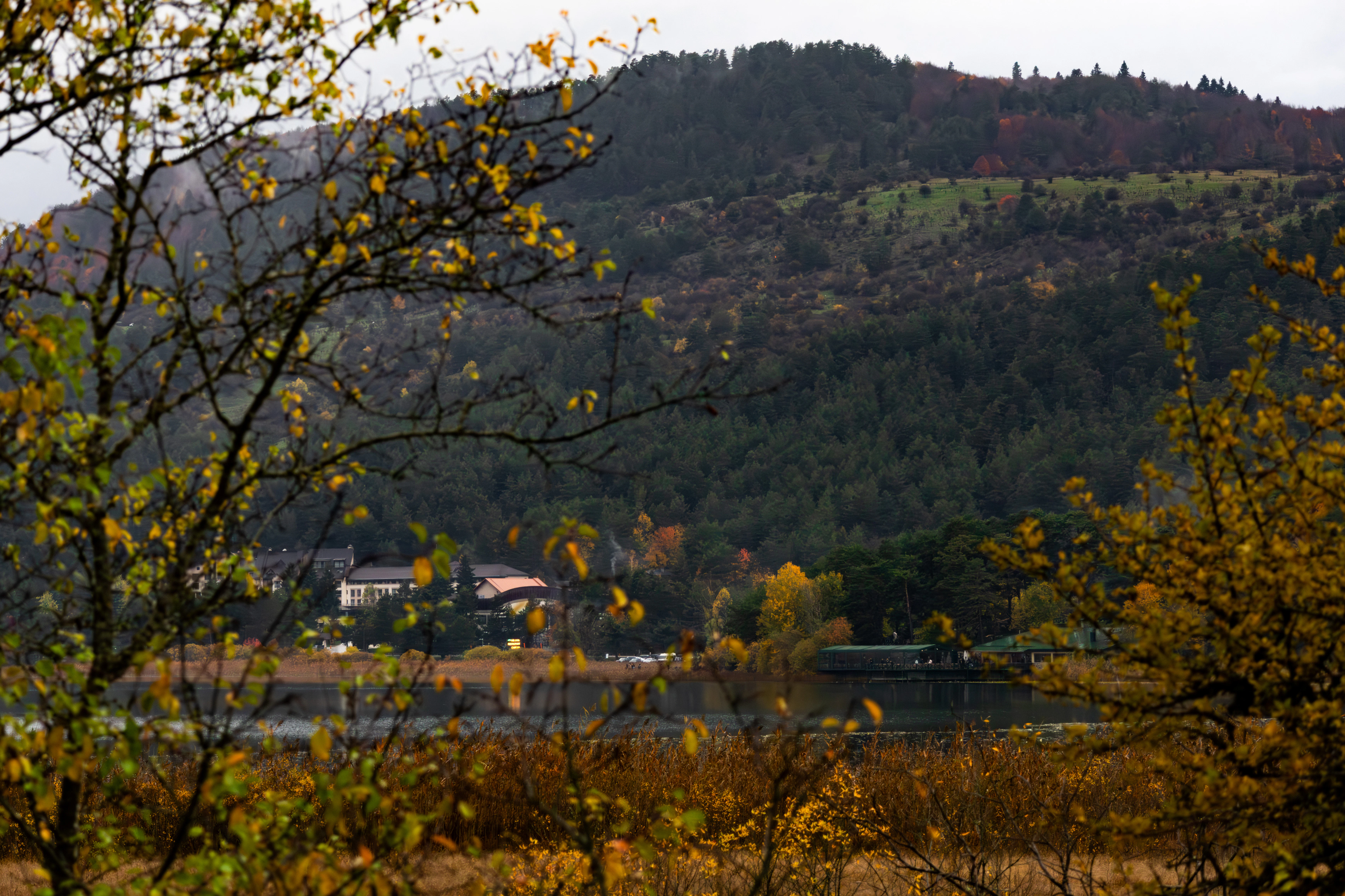 Autumn trees frame a distant house by a lake.