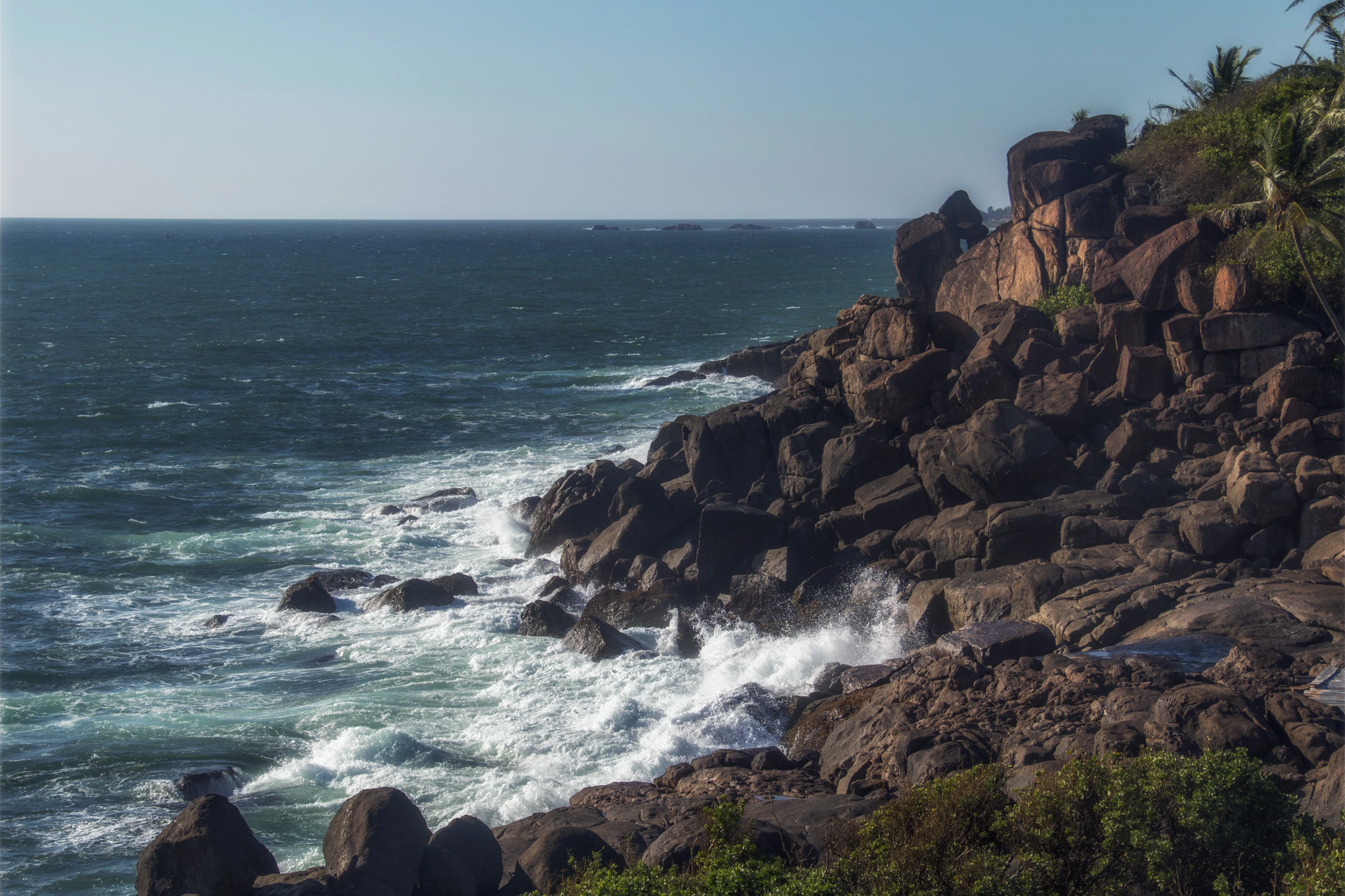 Waves crash against rocky coastline with palm trees.
