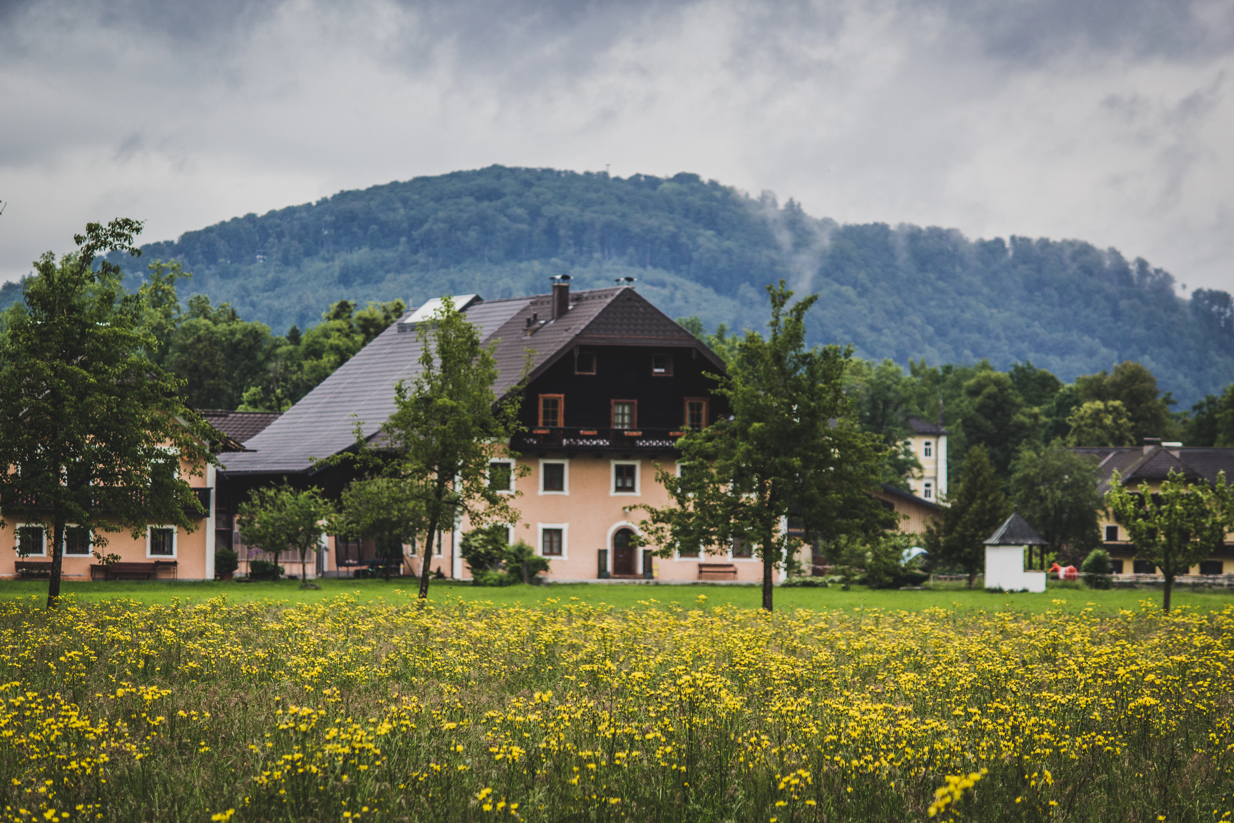 a house in the middle of a field with mountains in the background
