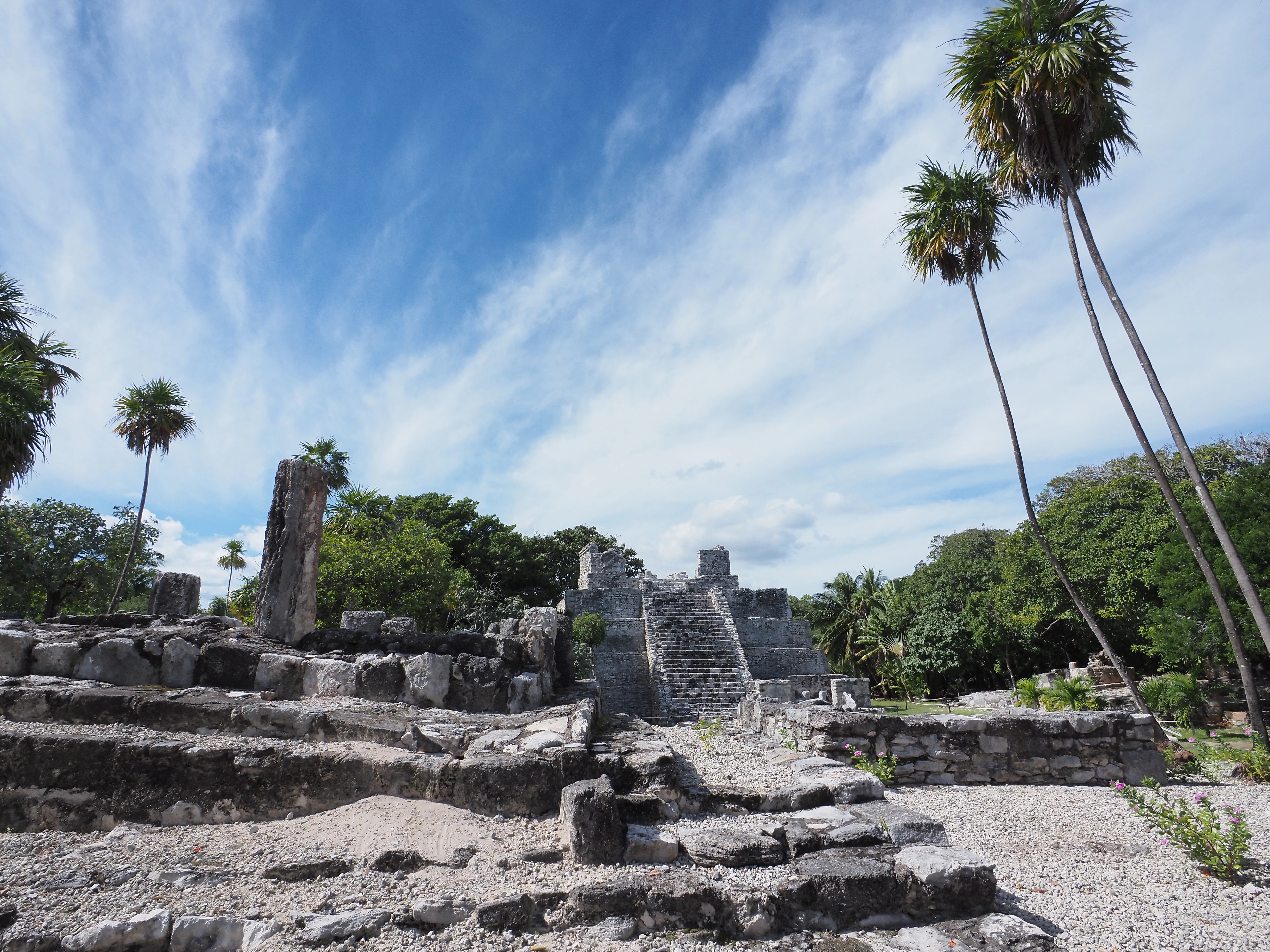 Ancient stone ruins with palm trees under a blue sky.