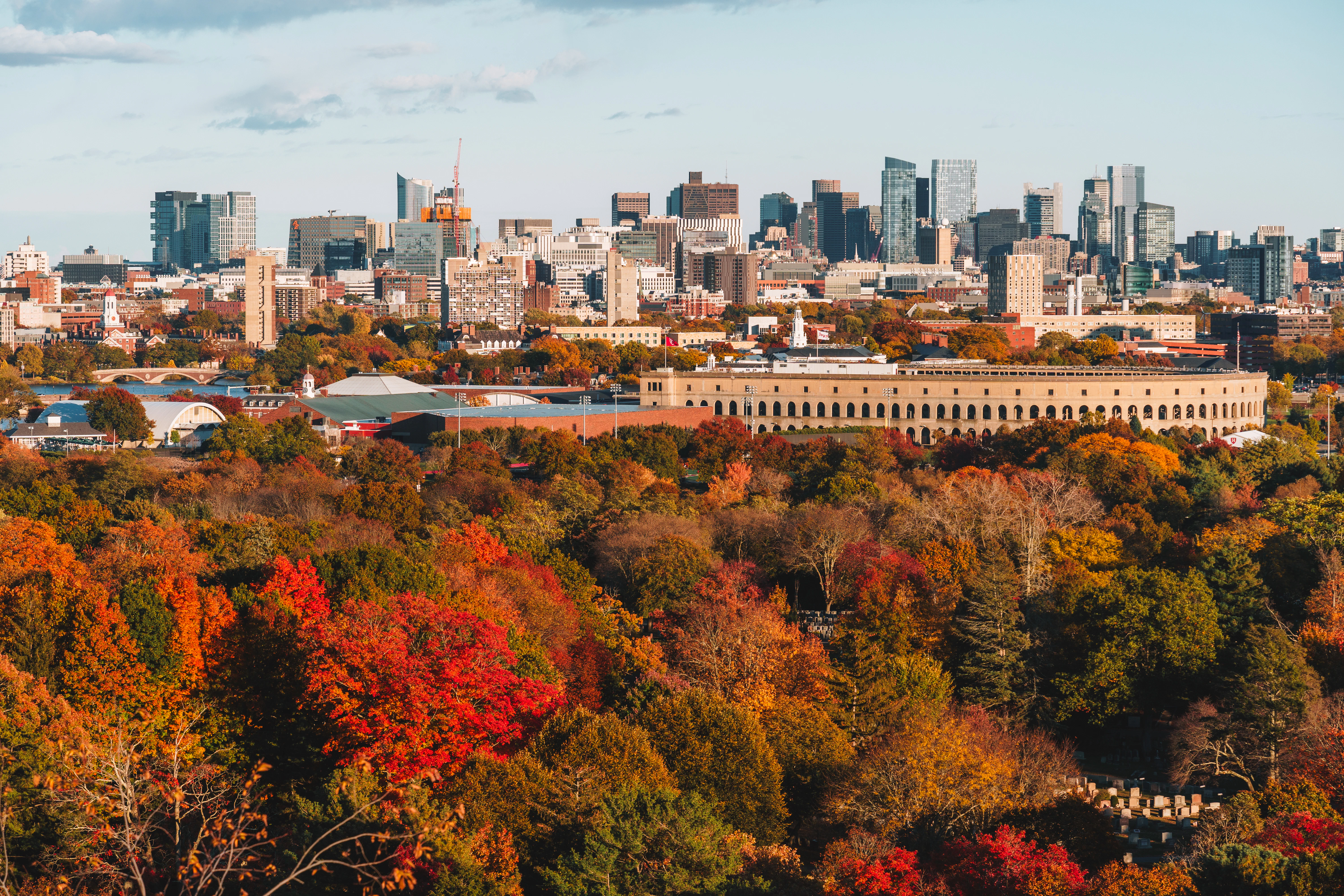 Autumn trees with cityscape in the background
