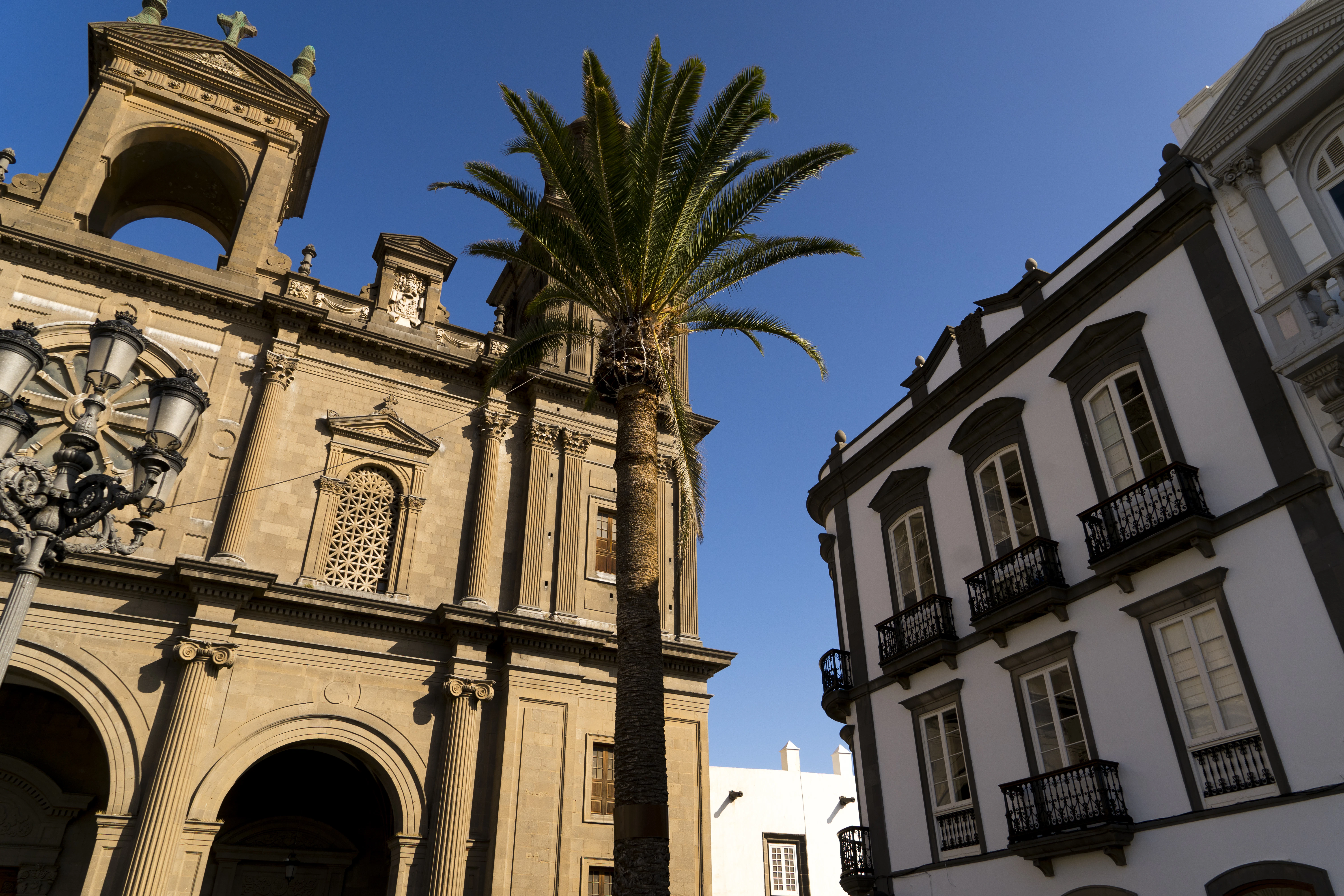 a tall building with a palm tree in front of it