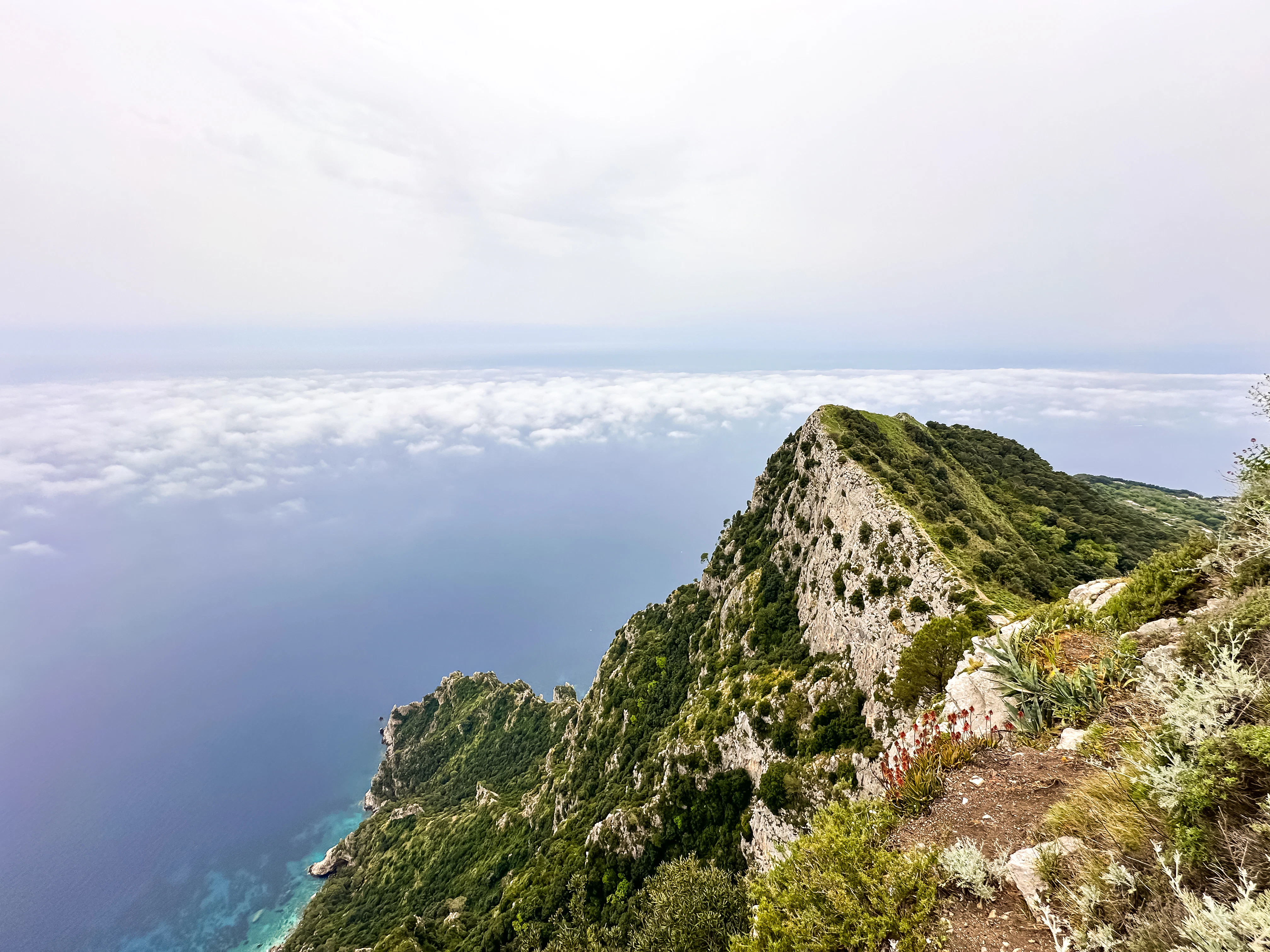 A view of the ocean from the top of a mountain
