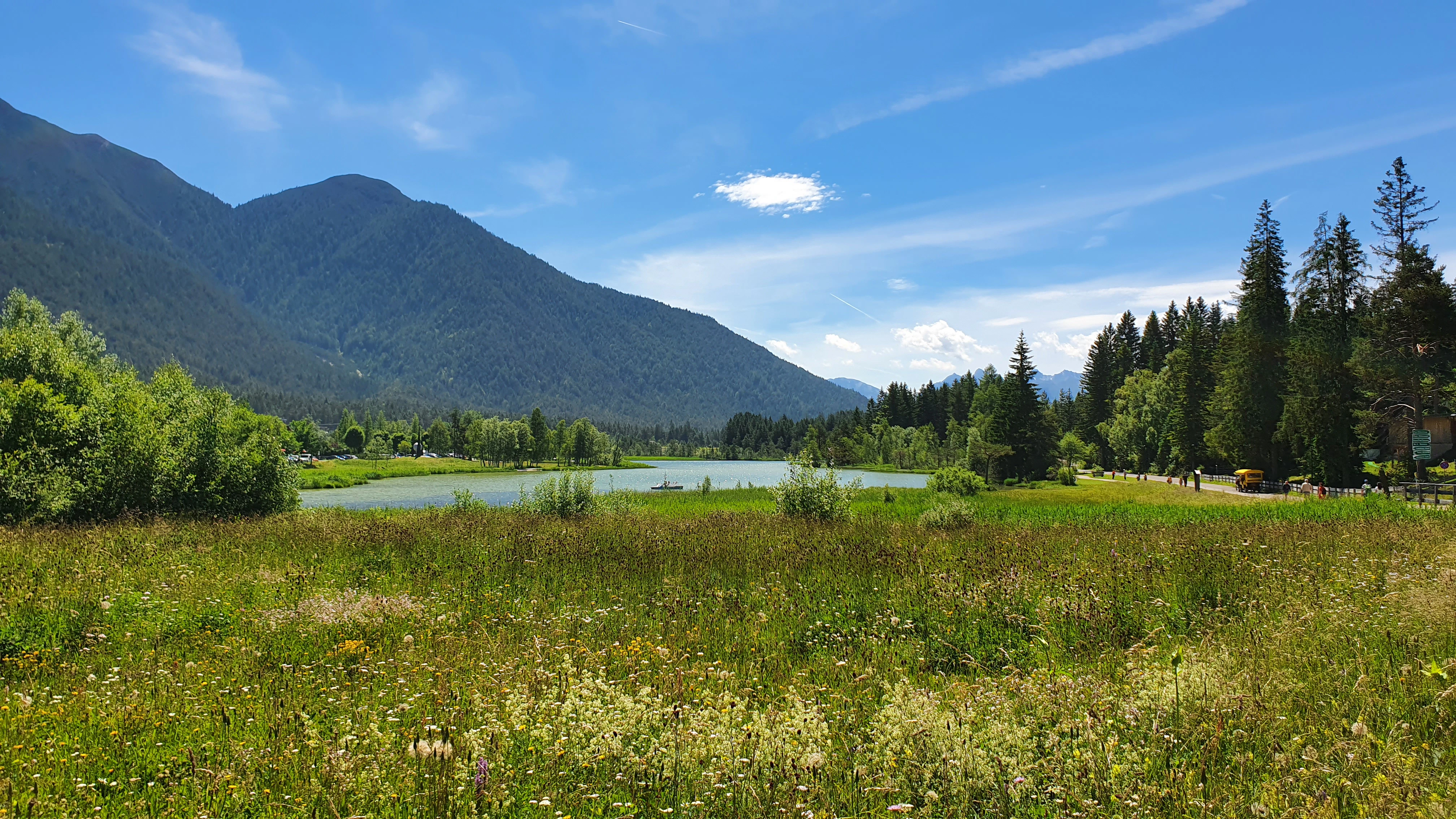 a grassy field with a lake and mountains in the background