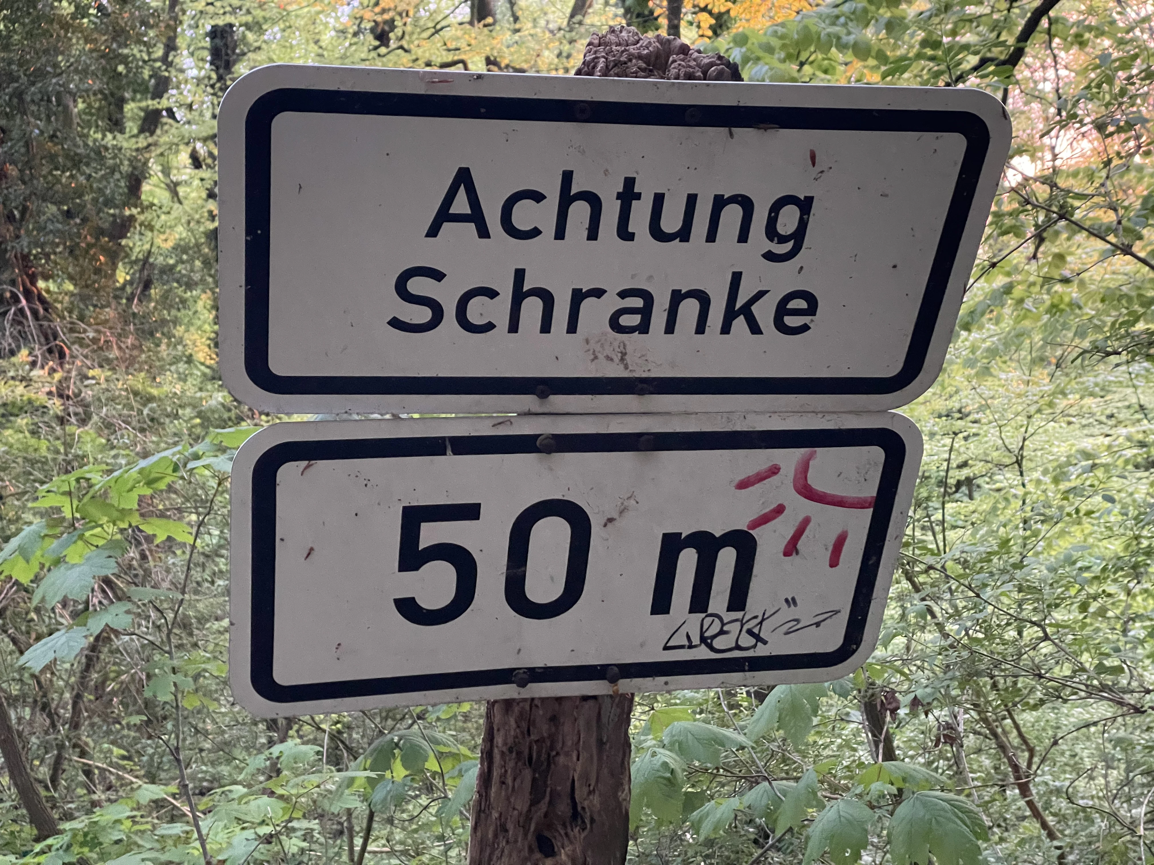 a sign on a tree