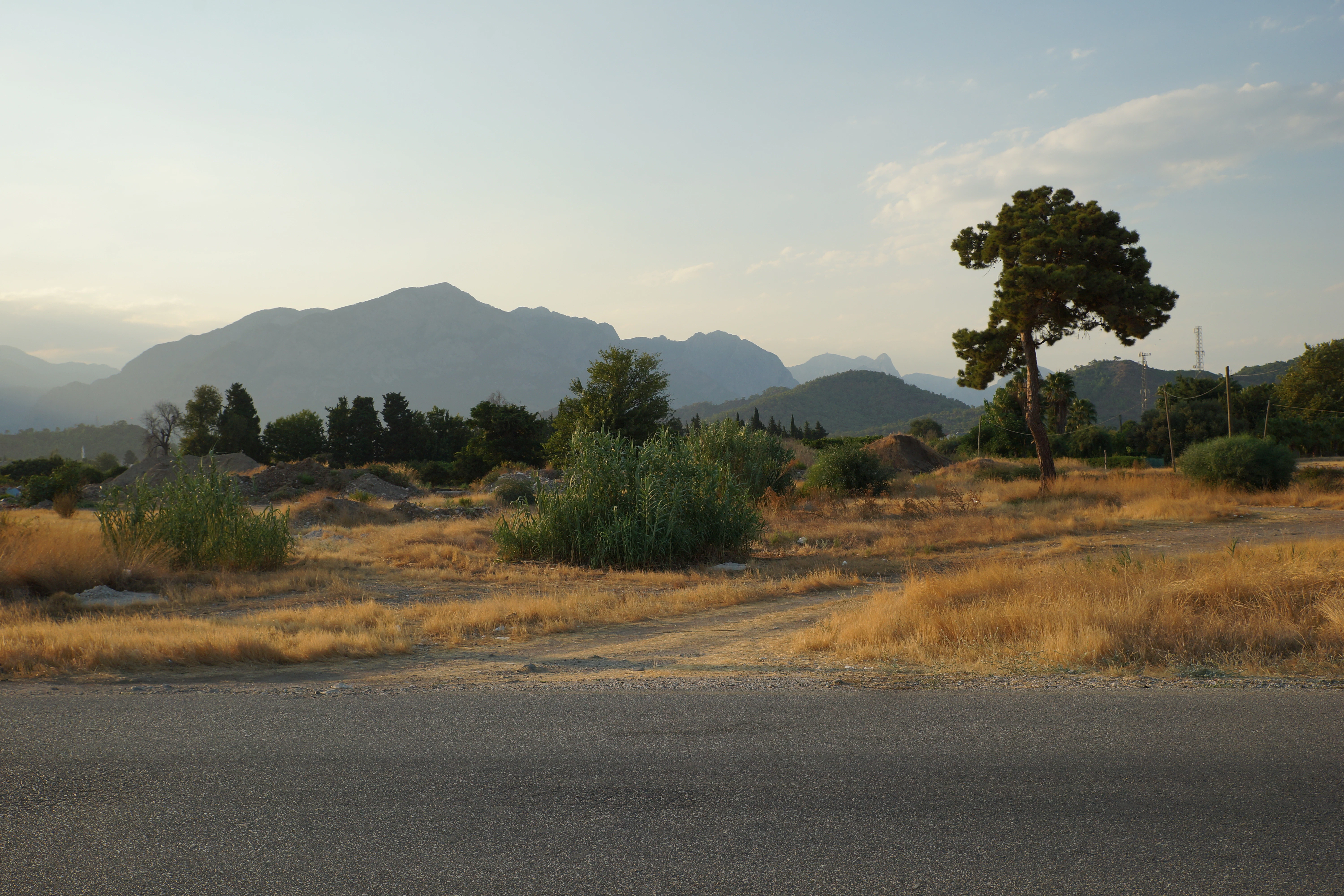 Hills and a tree stand tall against a sky.