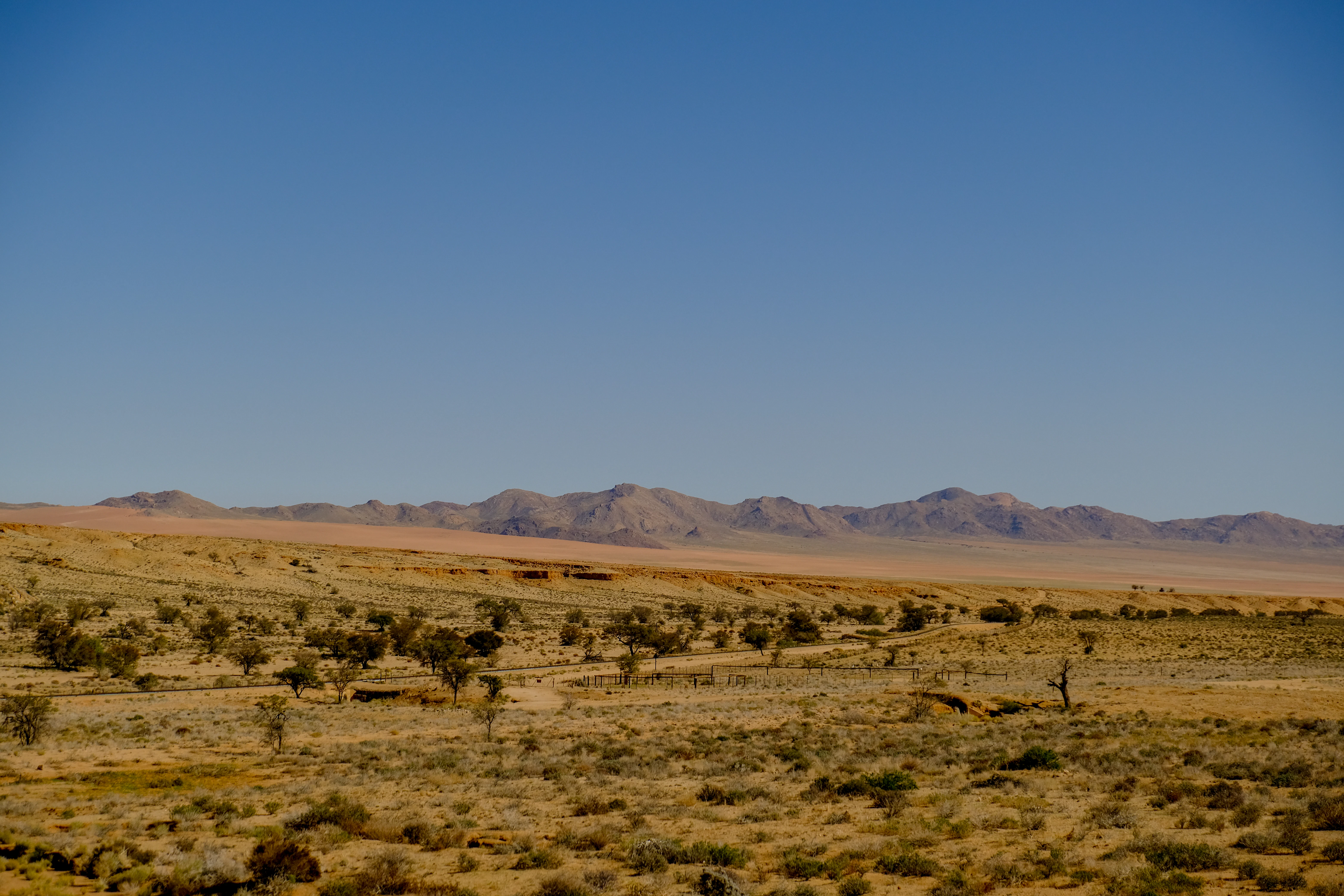 A desert landscape with mountains in the distance