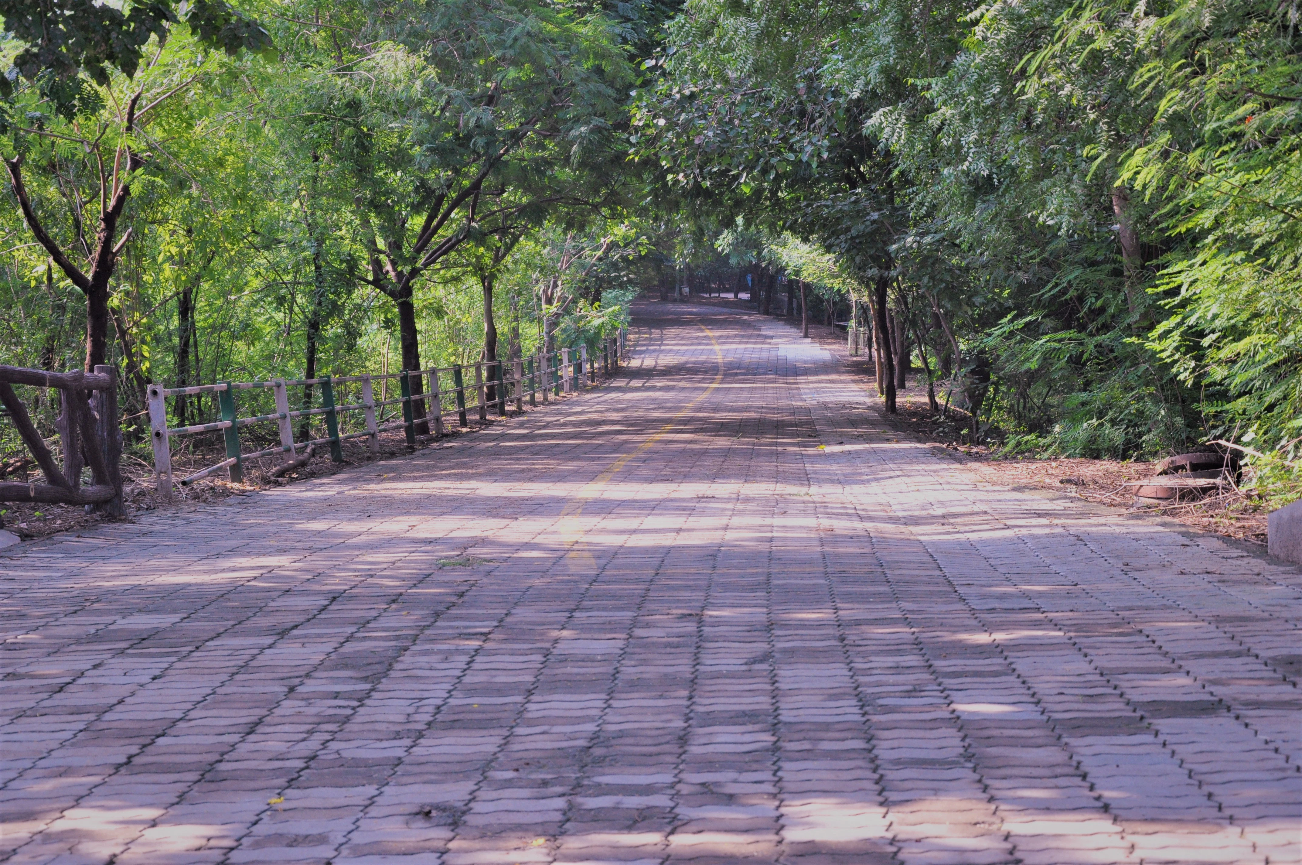a brick road surrounded by trees and a fence