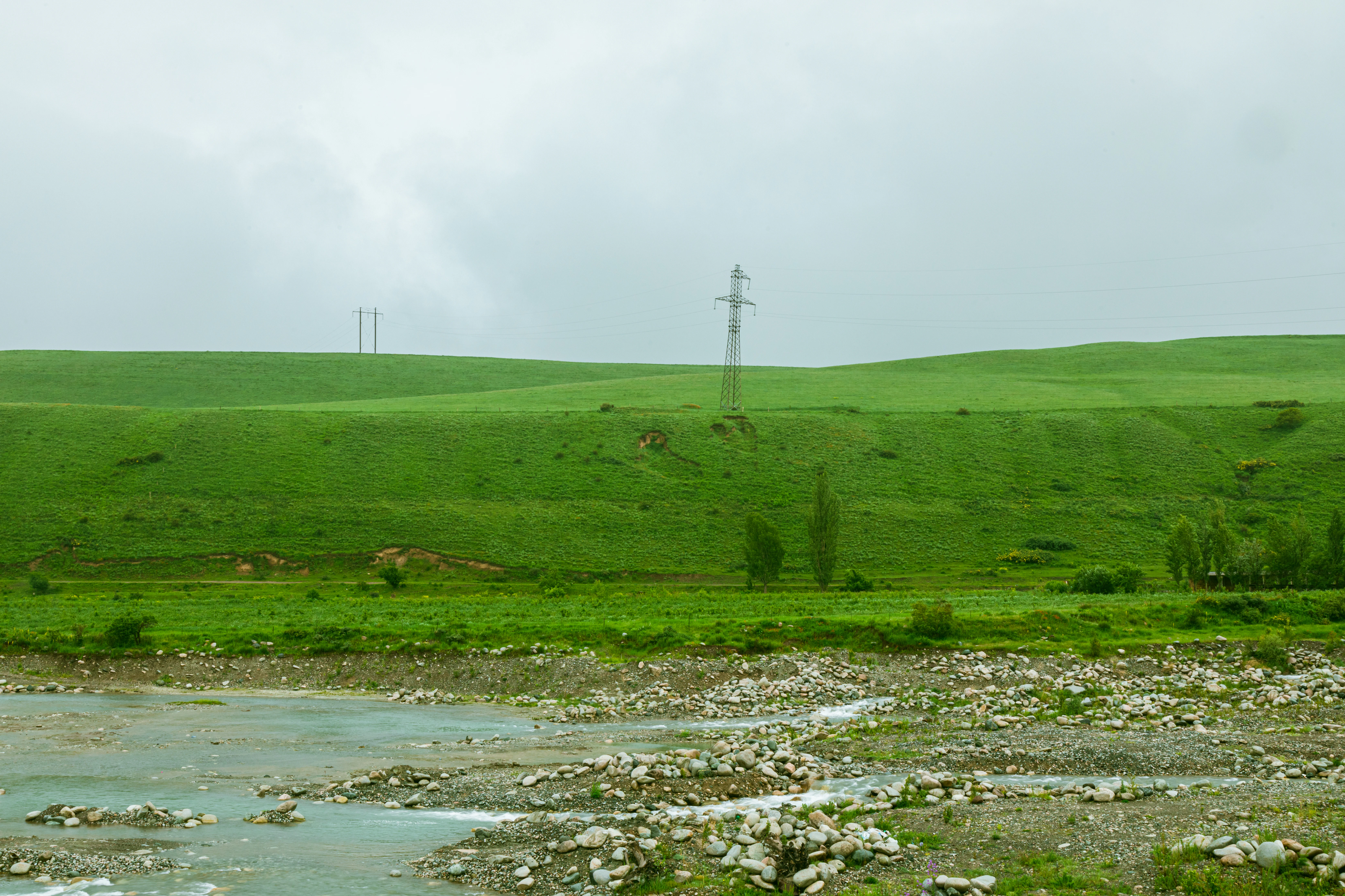 a river running through a lush green field