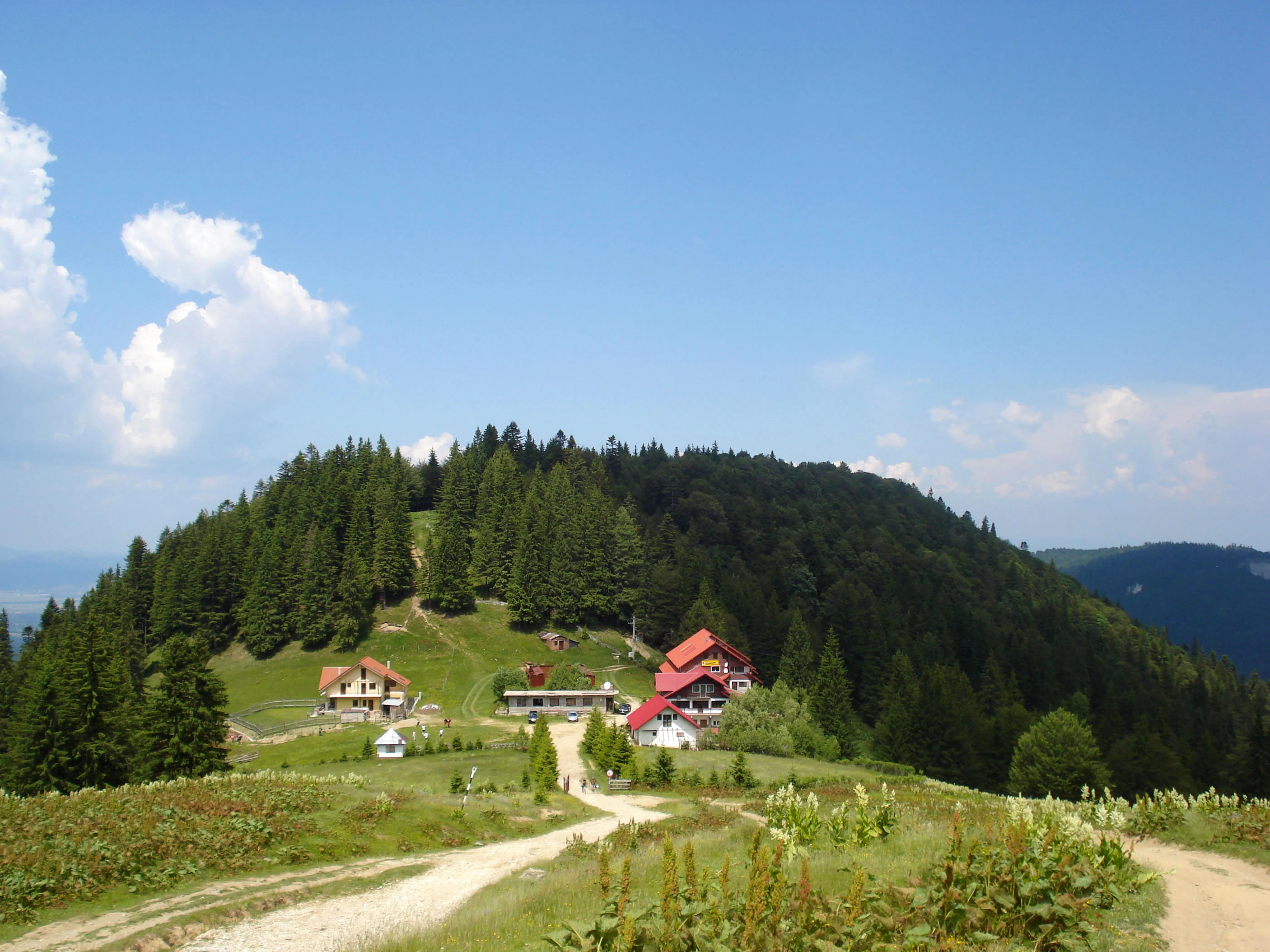 a dirt road in the middle of a lush green hillside