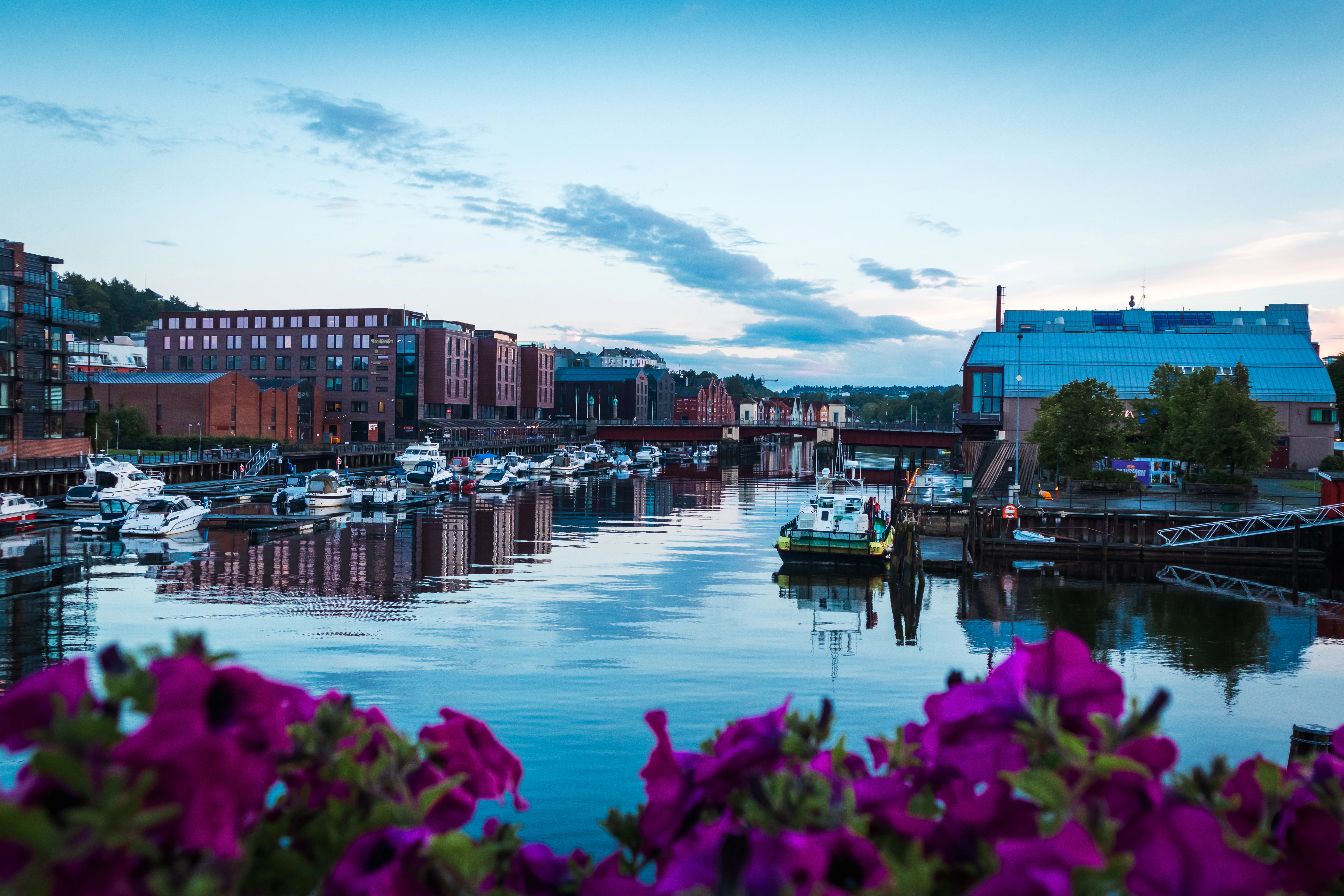 A harbor filled with lots of boats next to tall buildings